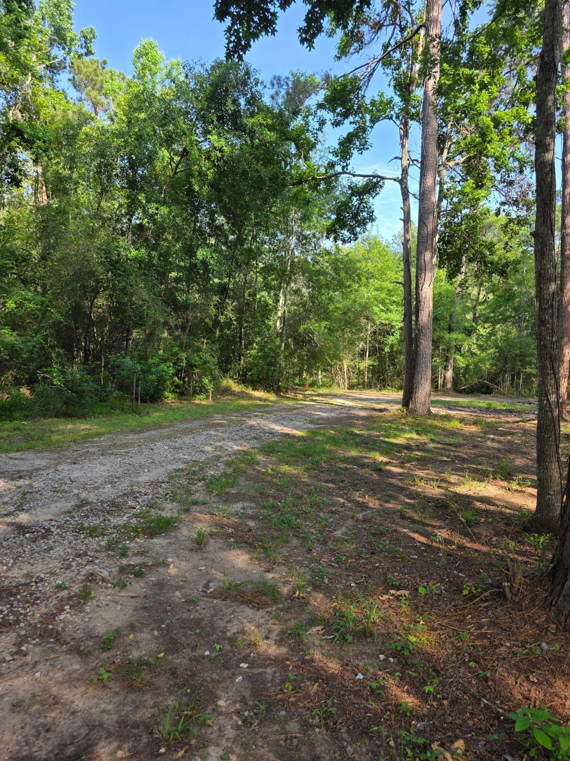 14068 Tower Glen Drive Property Photo 15