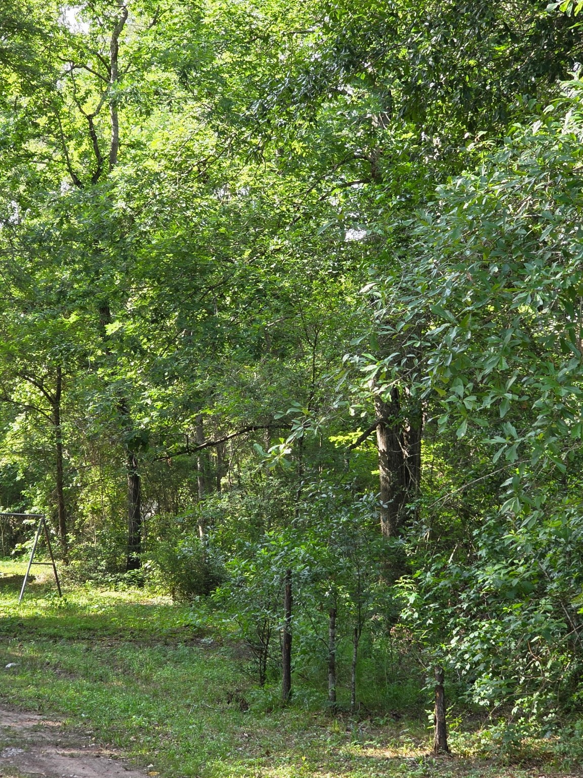 14068 Tower Glen Drive Property Photo 17