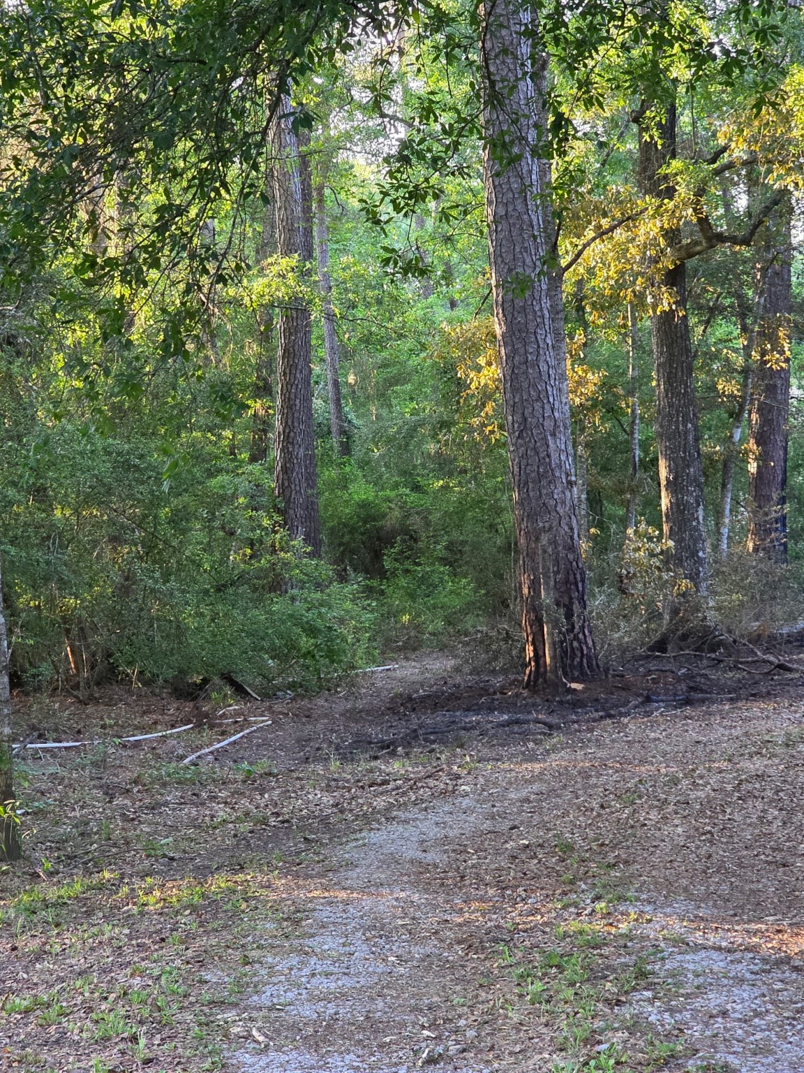 14068 Tower Glen Drive Property Photo 18