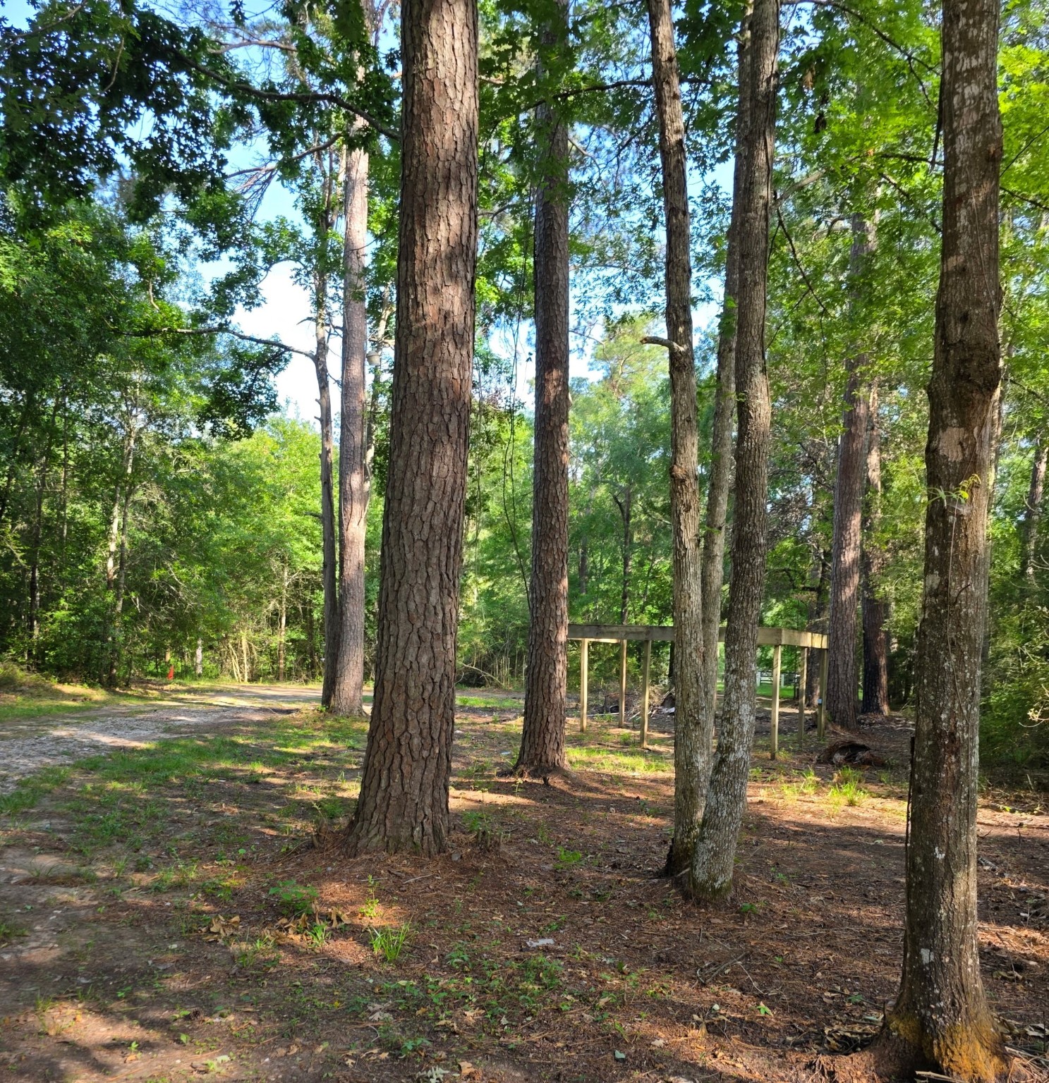14068 Tower Glen Drive Property Photo 19