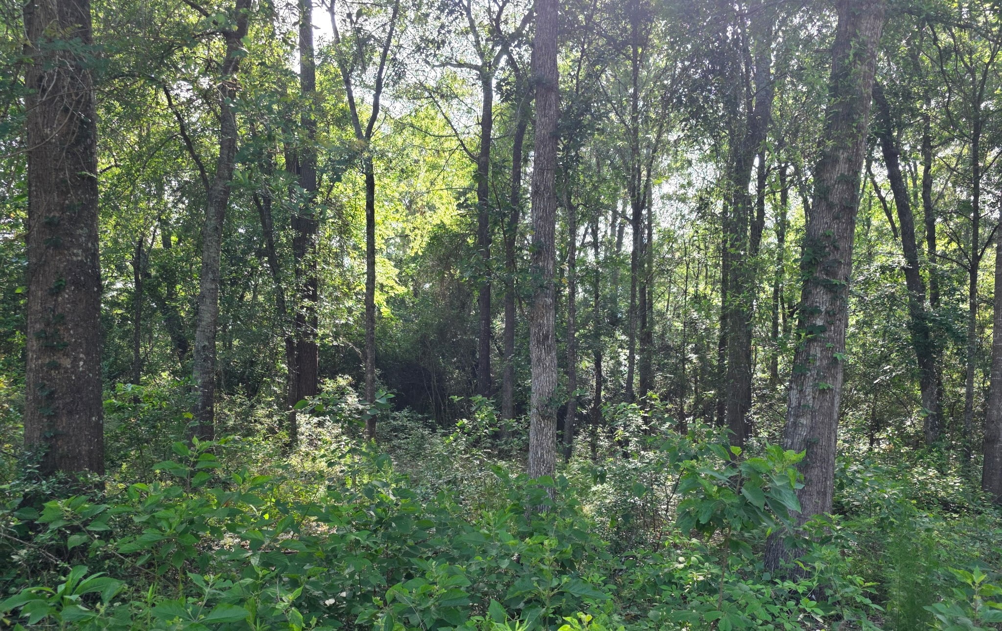 14068 Tower Glen Drive Property Photo 20