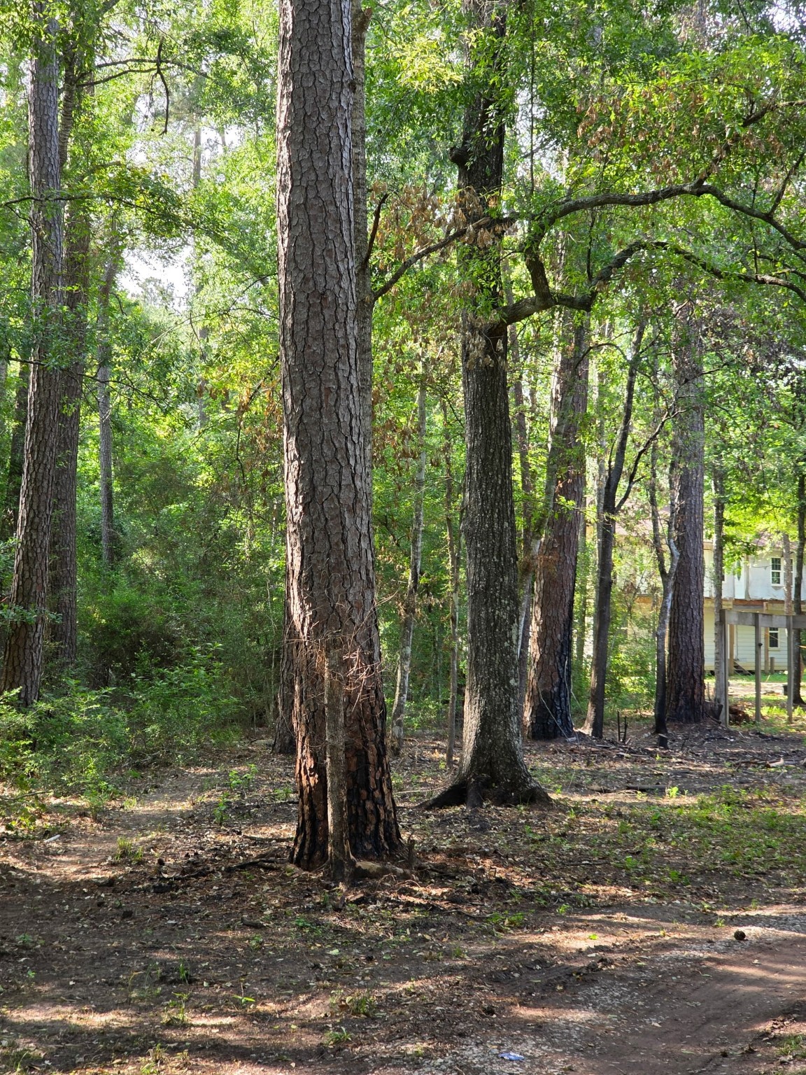 14068 Tower Glen Drive Property Photo 21