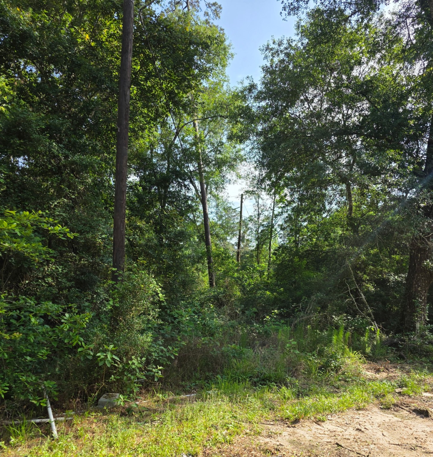 14068 Tower Glen Drive Property Photo 24