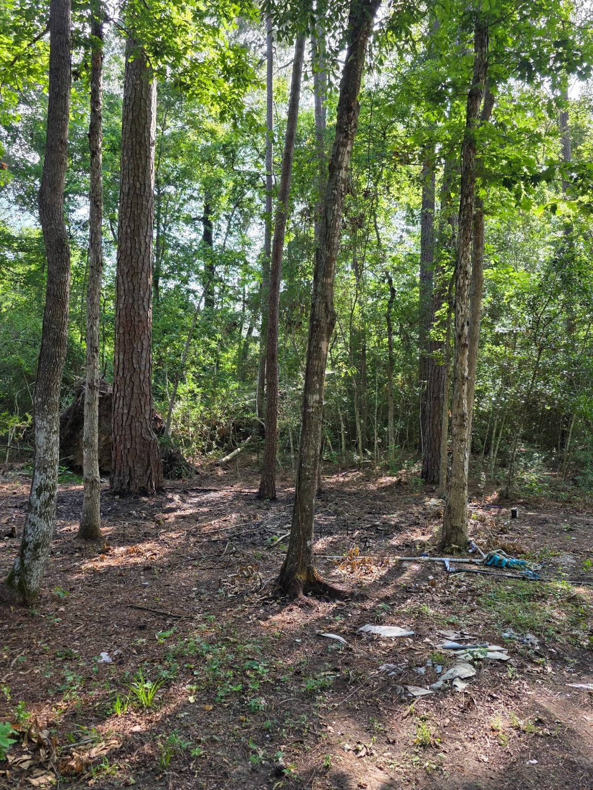 14068 Tower Glen Drive Property Photo 26