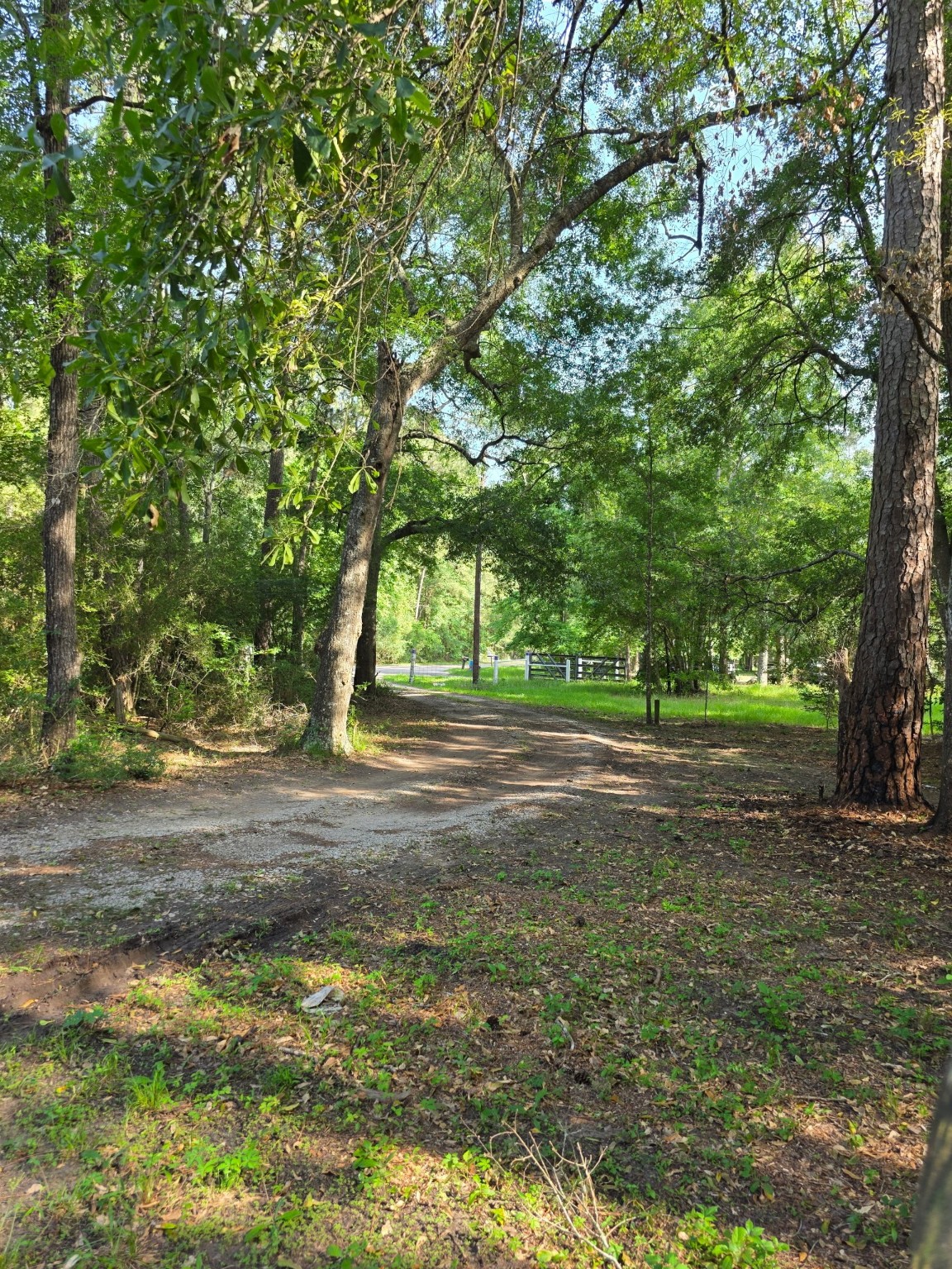 14068 Tower Glen Drive Property Photo 28