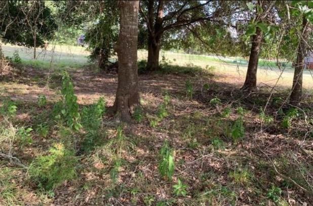 8 Wild Iris Court Property Photo 2