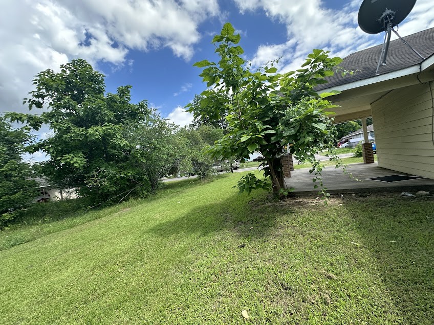 1009 W Houston Street Property Photo 13