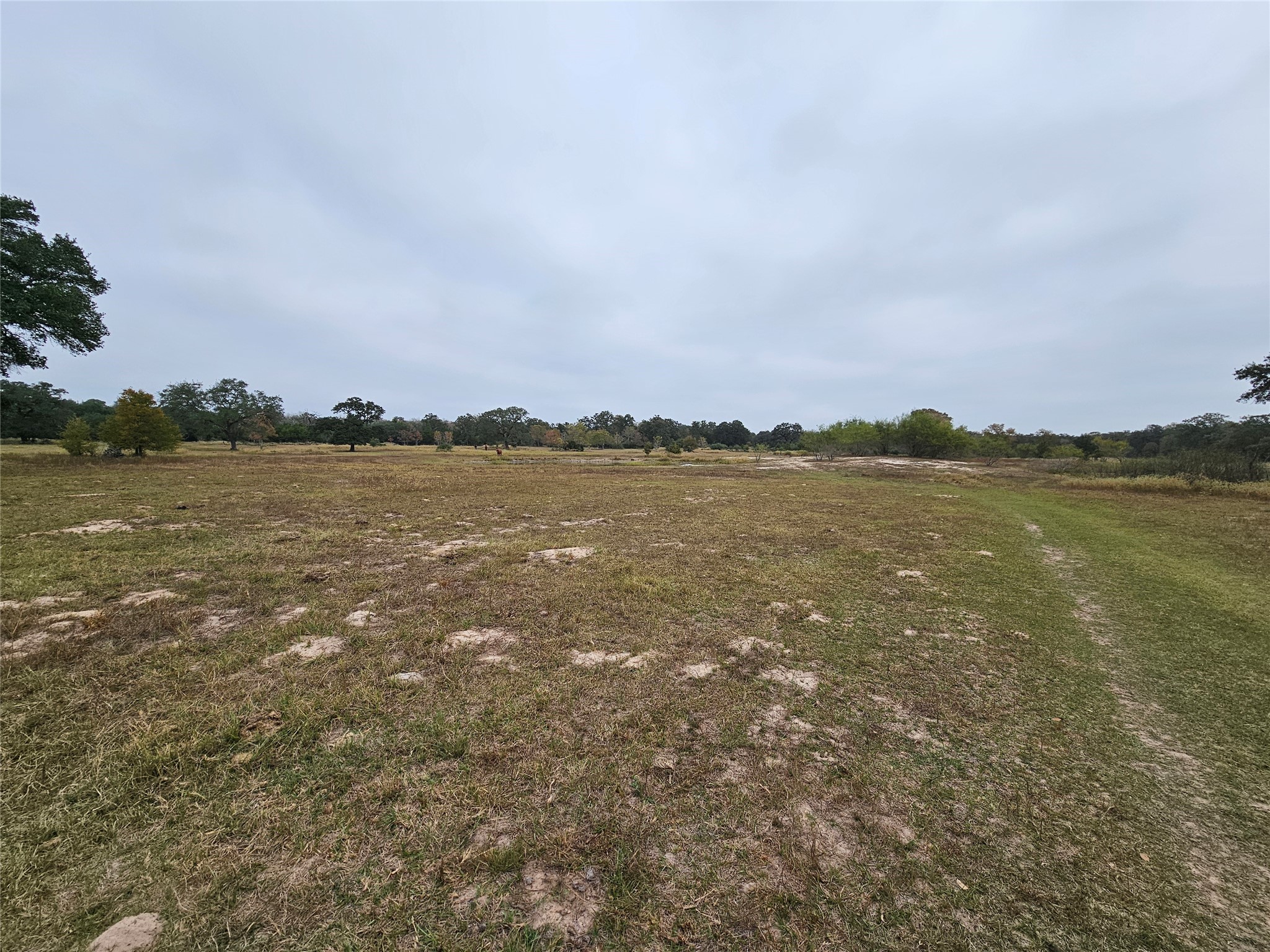 0 Schultz Property Photo 2