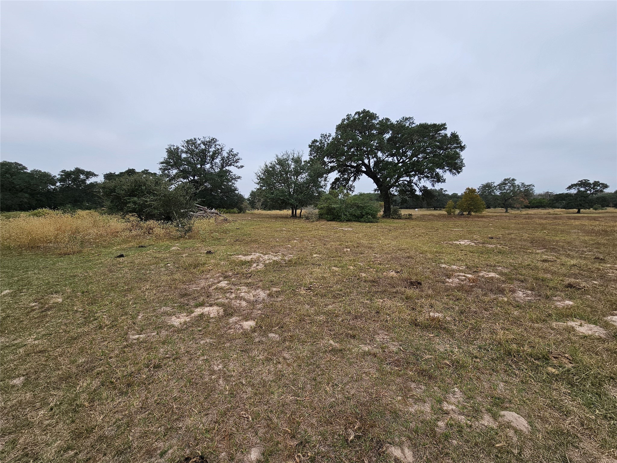 0 Schultz Property Photo 3