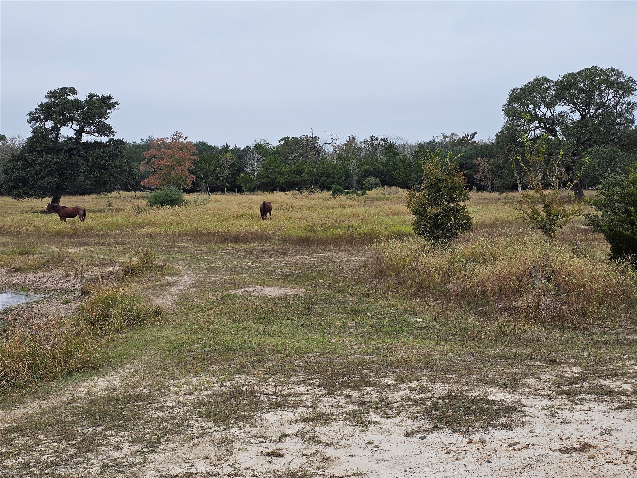 0 Schultz Property Photo 4