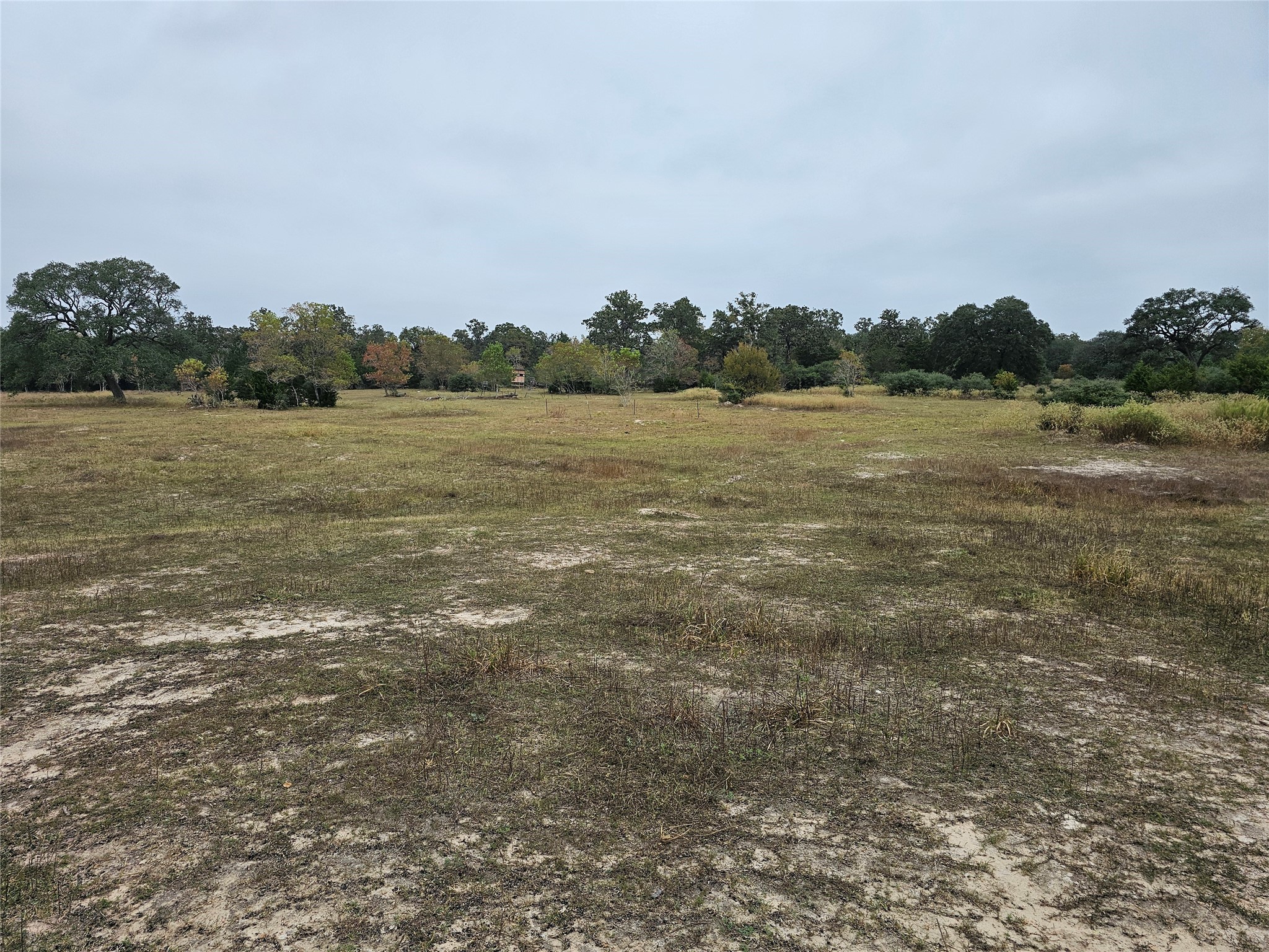0 Schultz Property Photo 5