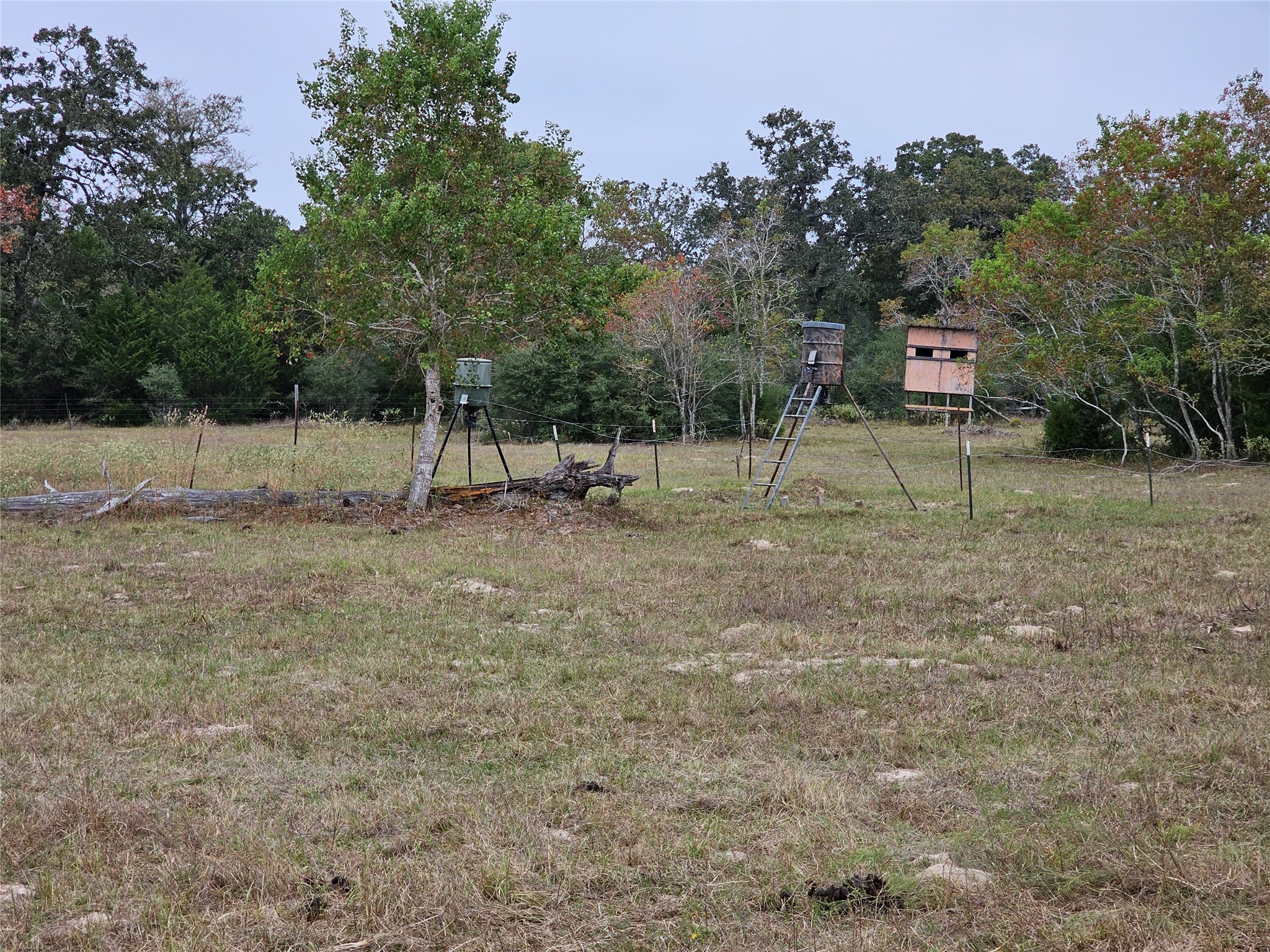 0 Schultz Property Photo 6