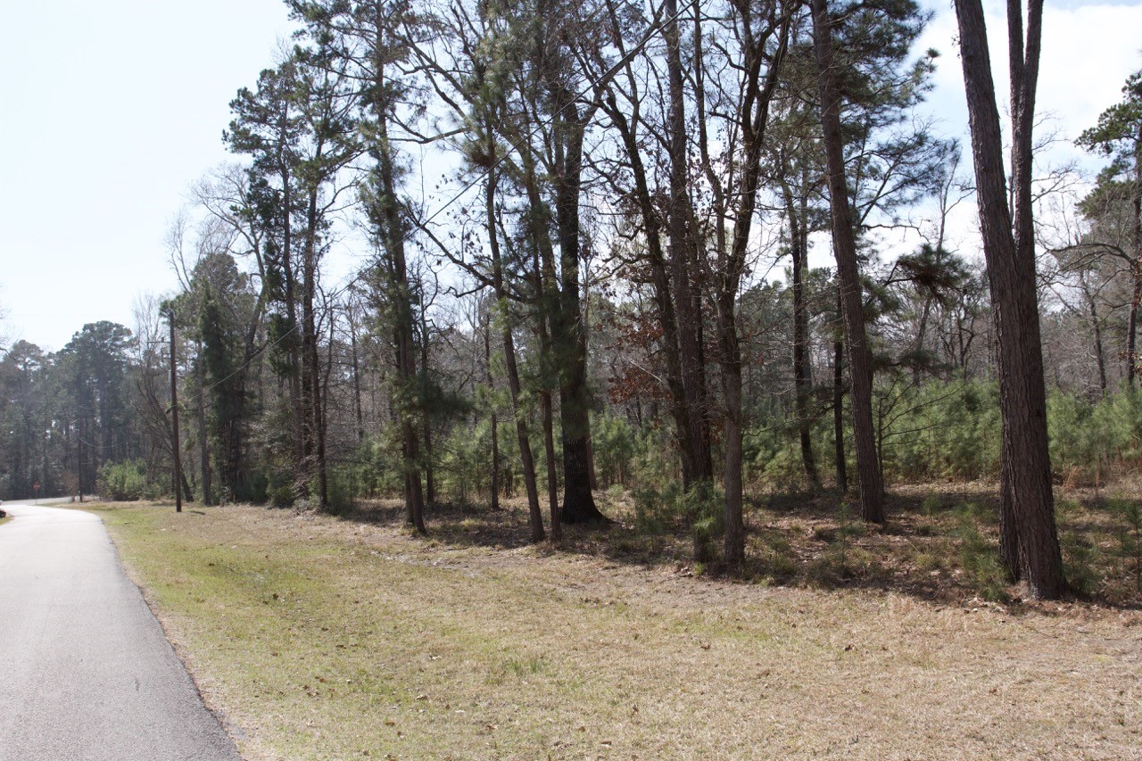 4345 Fm 3188 Property Photo 3
