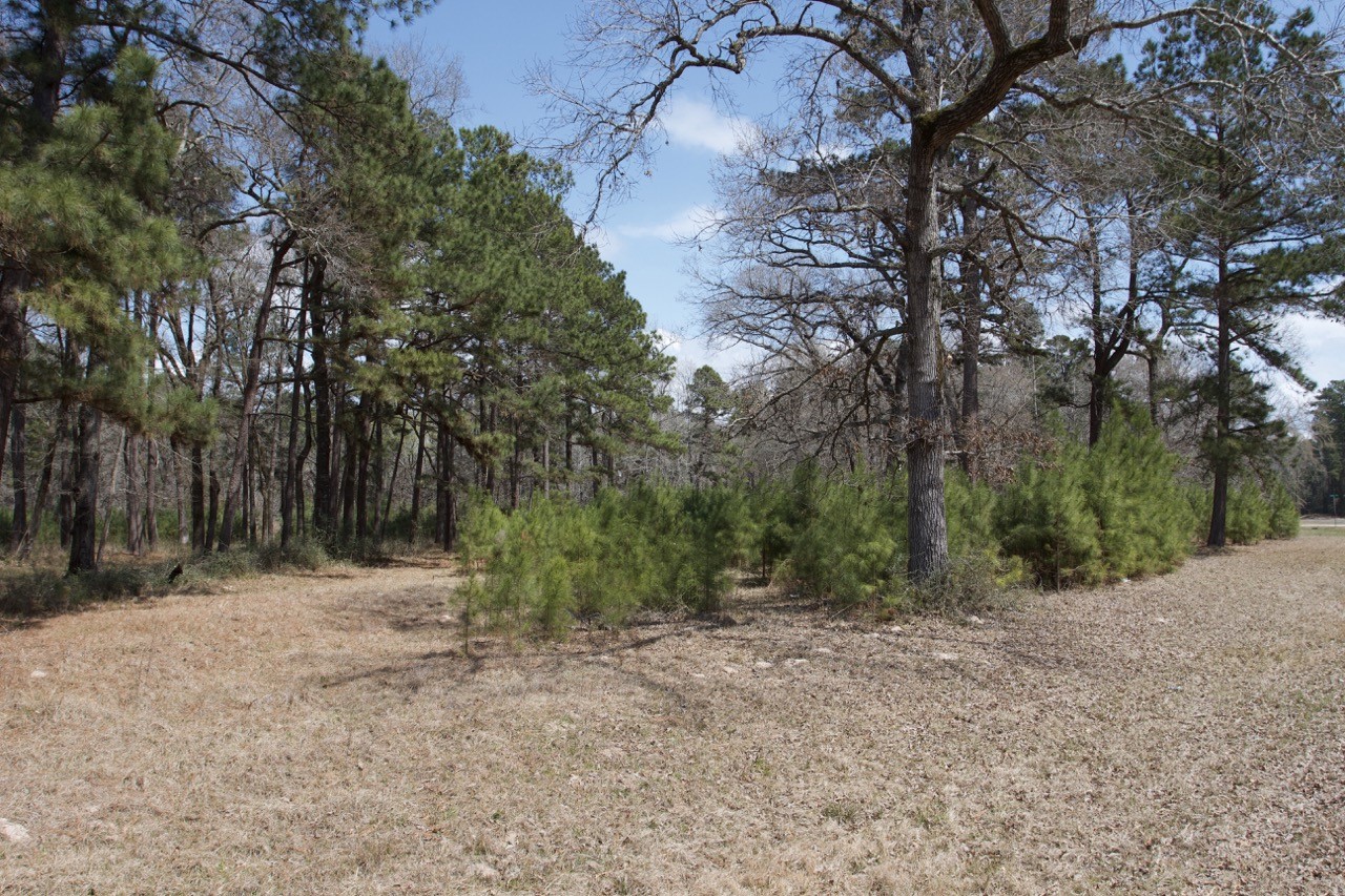4345 Fm 3188 Property Photo 6