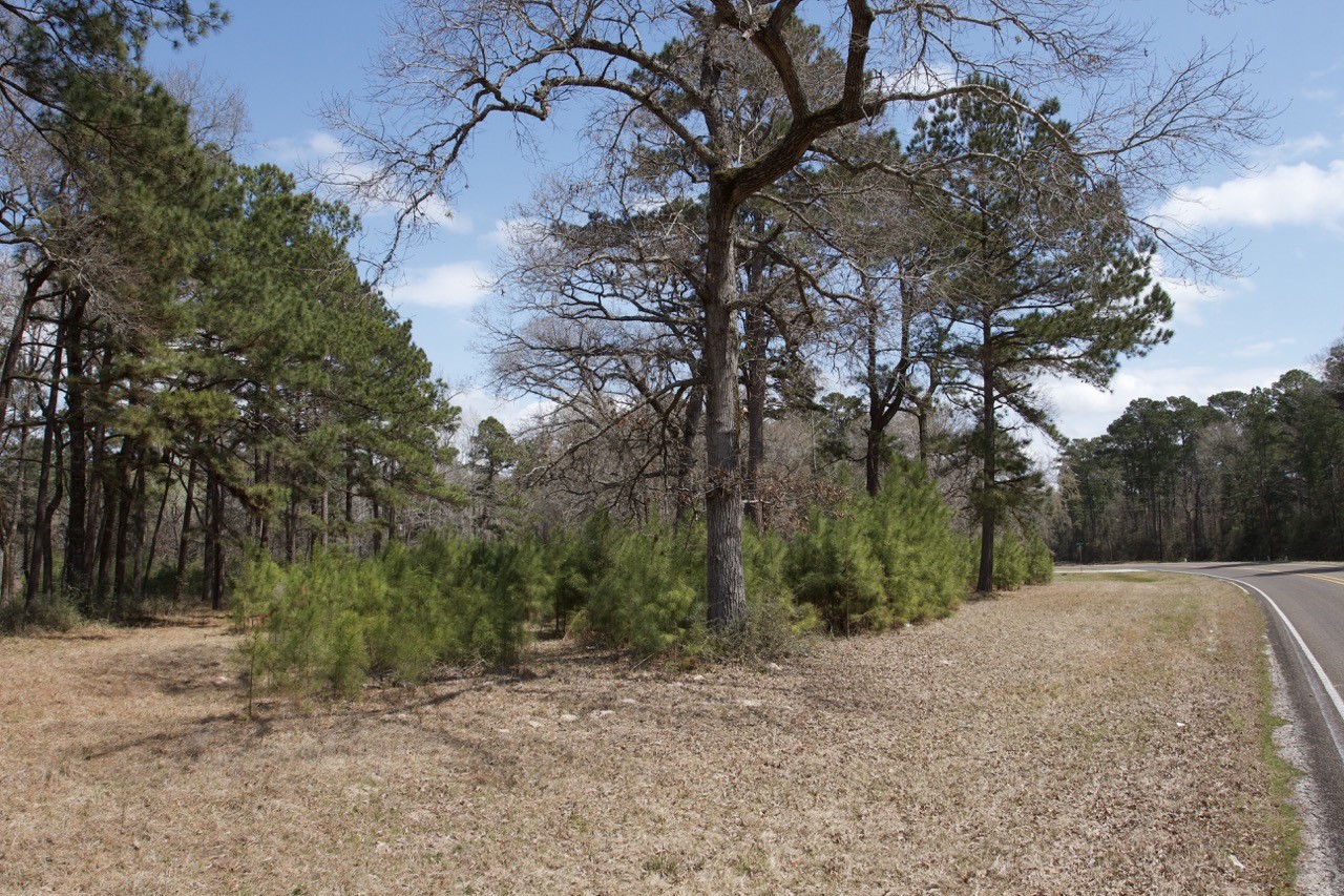 4345 Fm 3188 Property Photo 7