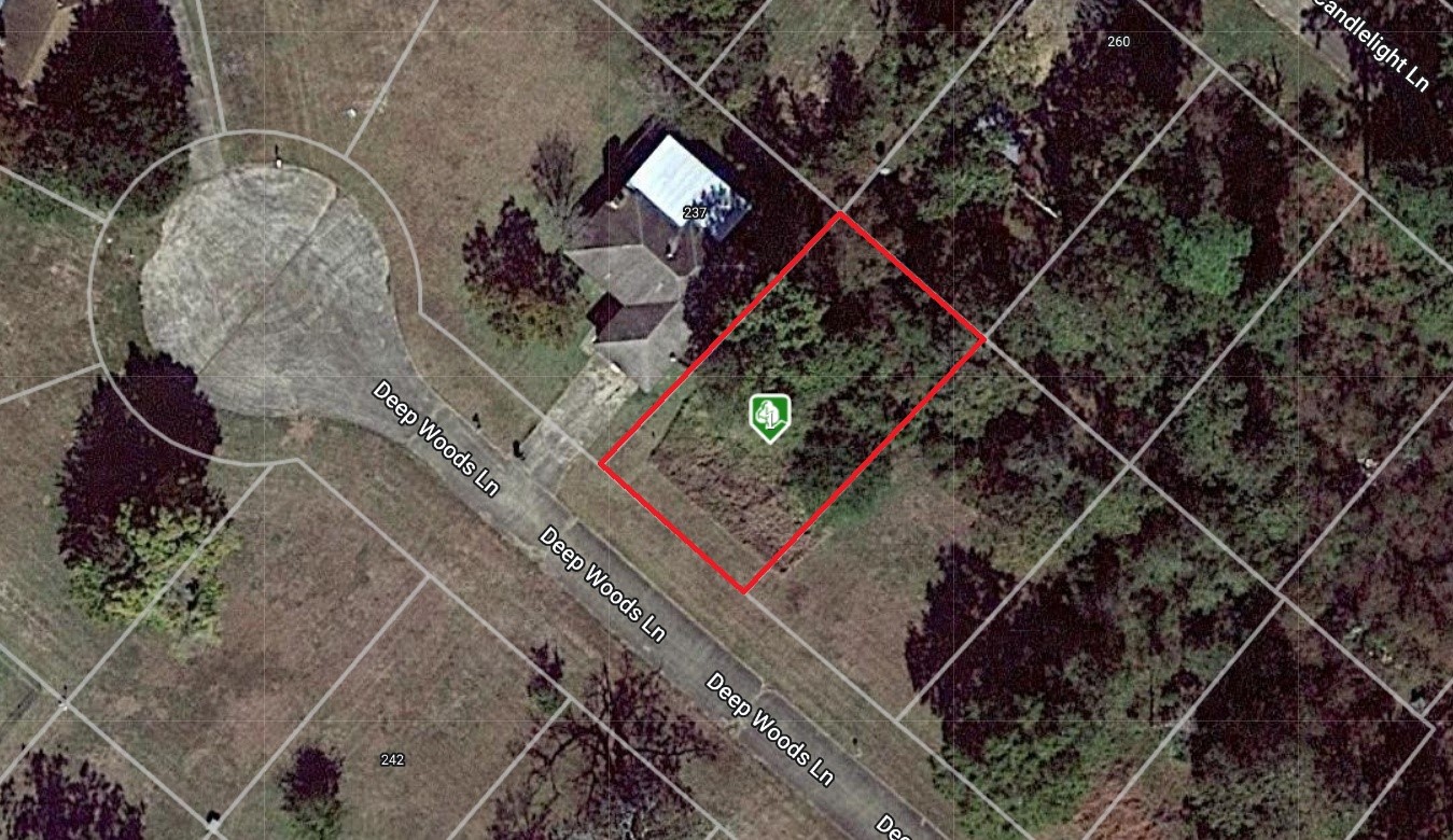 245 Deep Woods Lane Property Photo 1