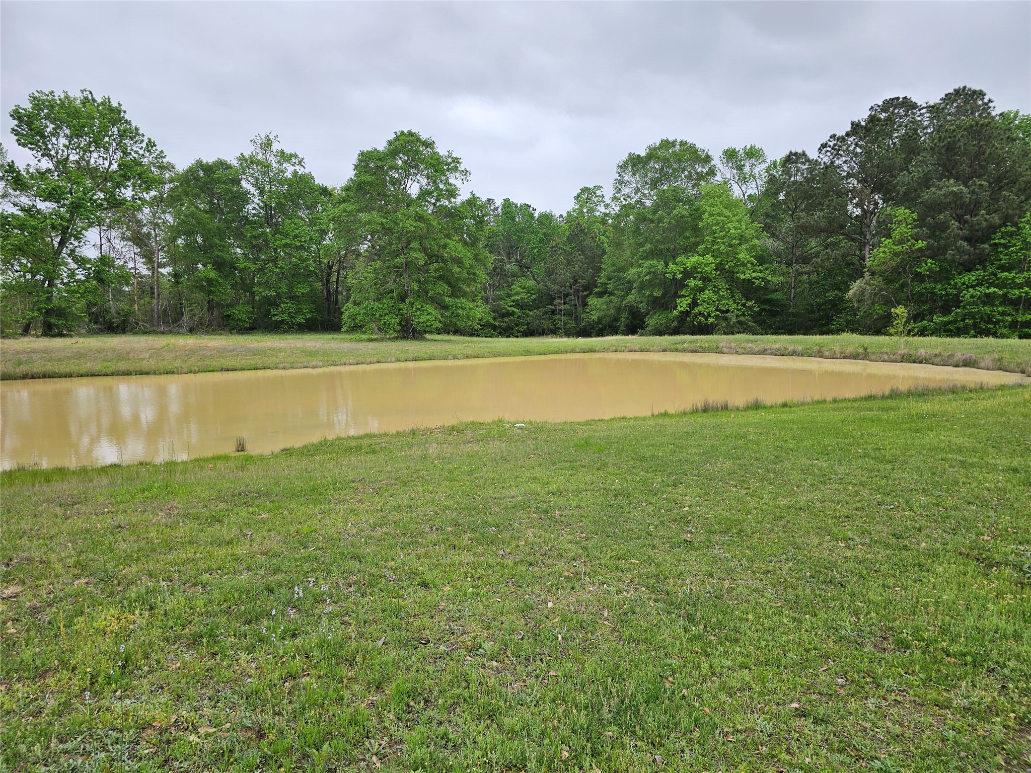 15784 Tree Monkey Rd Property Photo 2