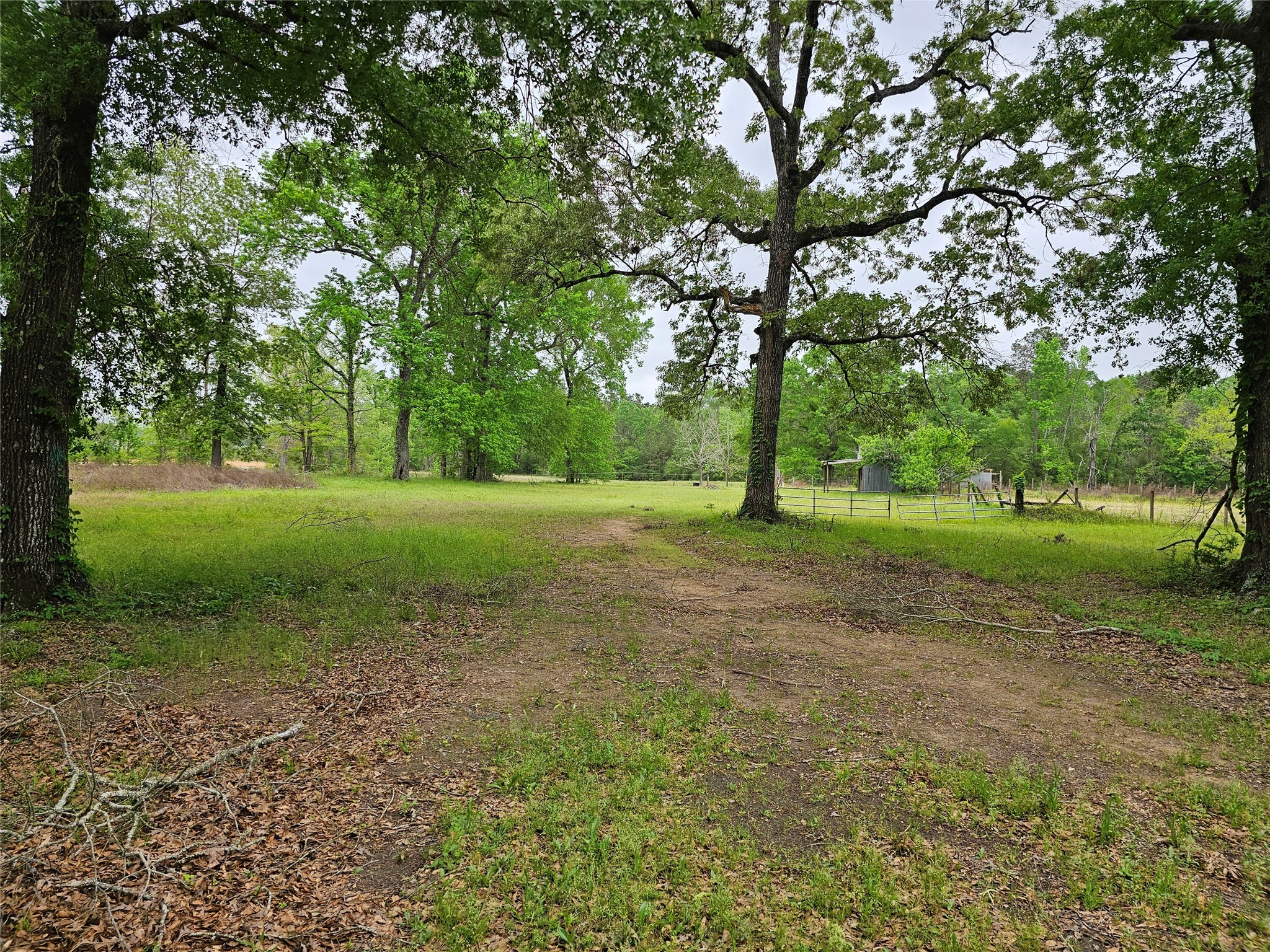 15784 Tree Monkey Rd Property Photo 3