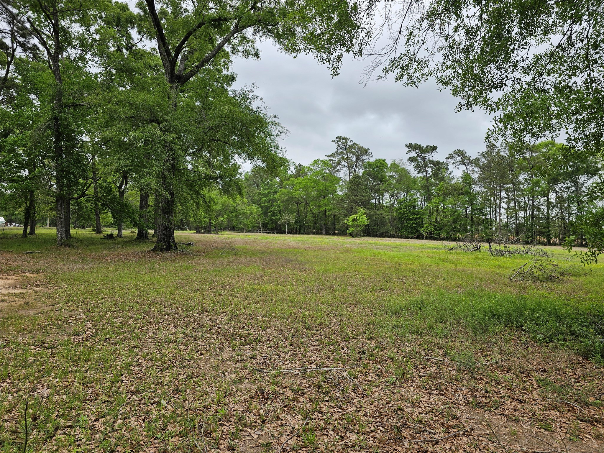 15784 Tree Monkey Rd Property Photo 4