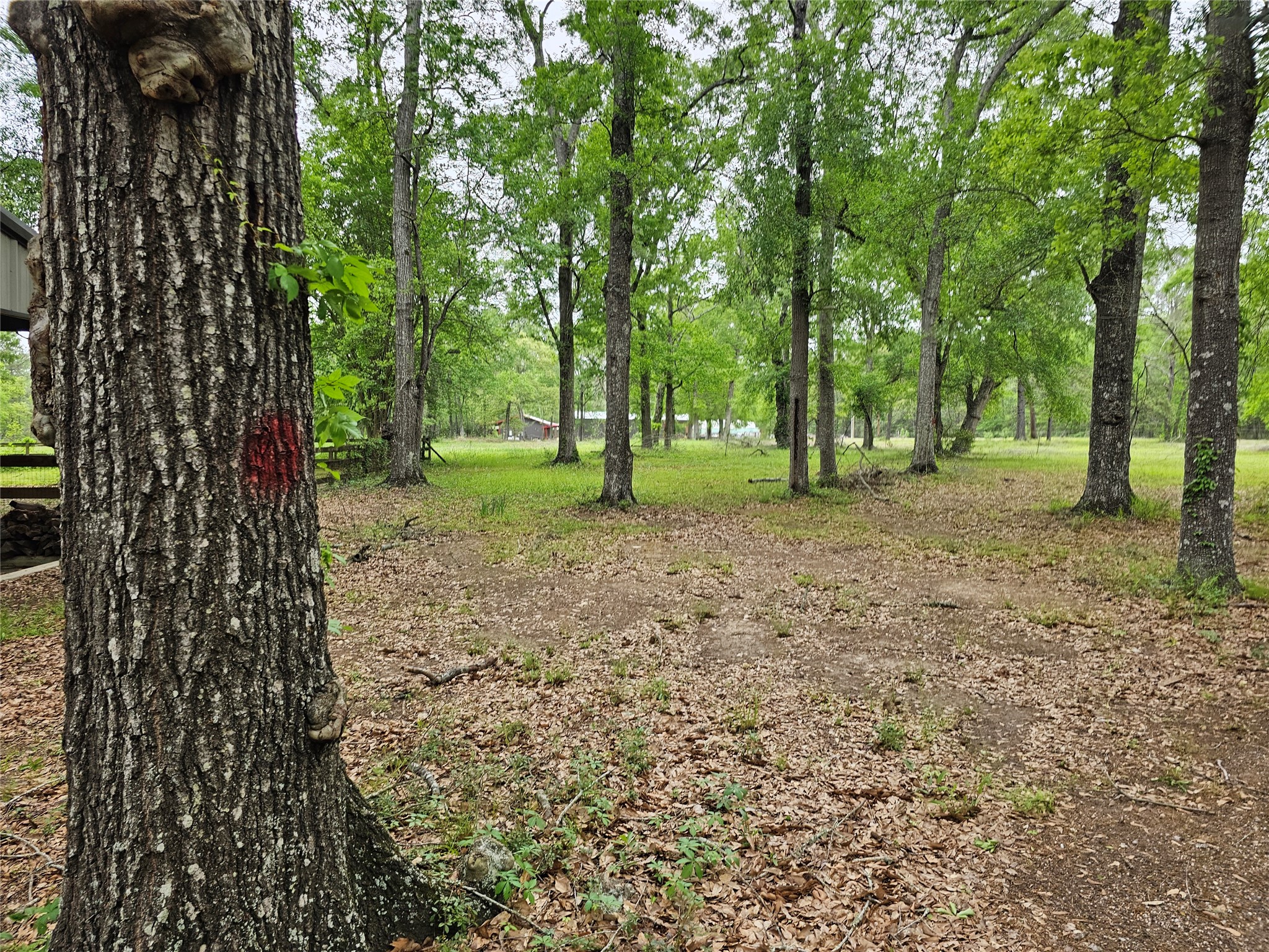 15784 Tree Monkey Rd Property Photo 5