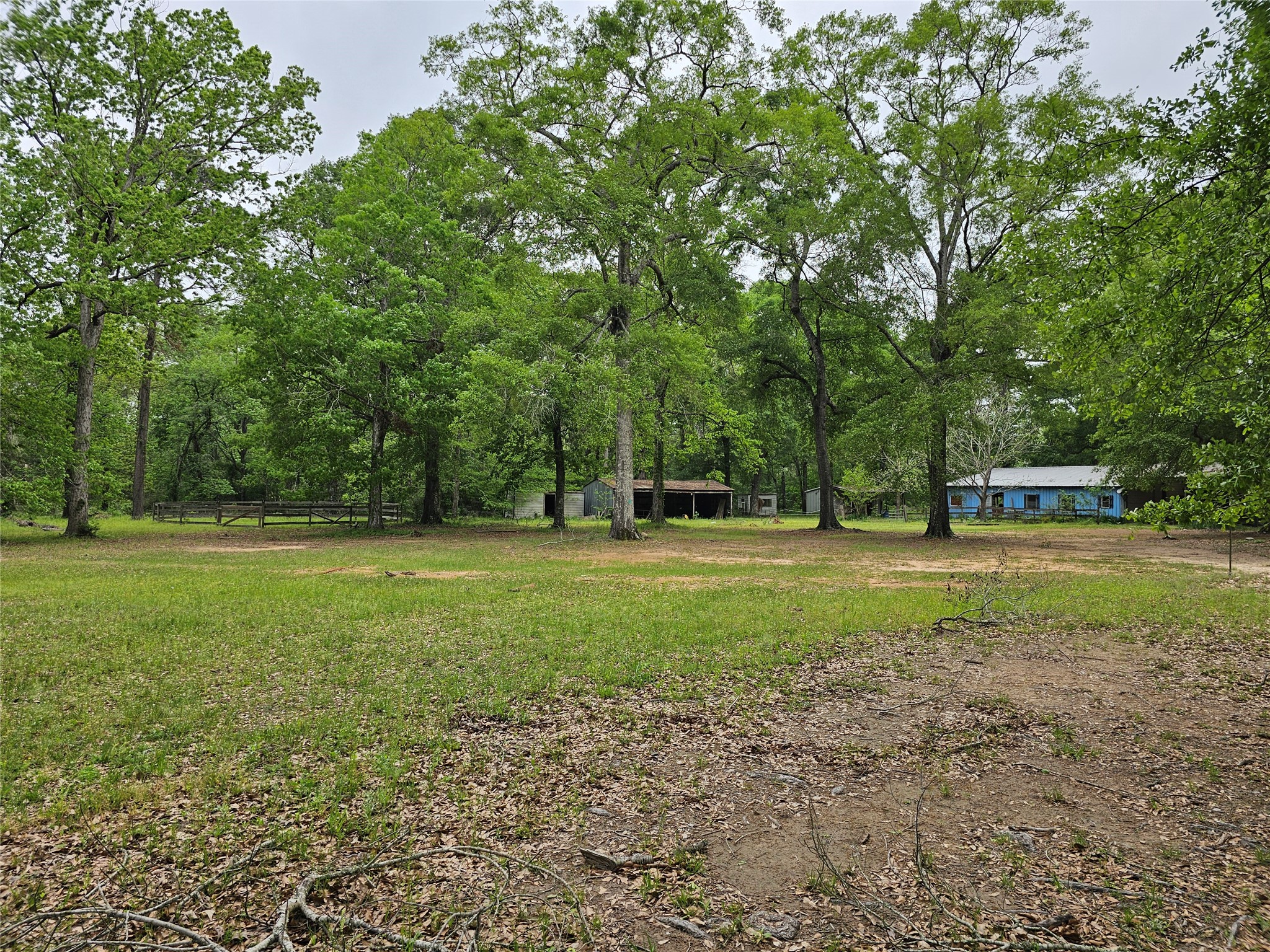 15784 Tree Monkey Rd Property Photo 6