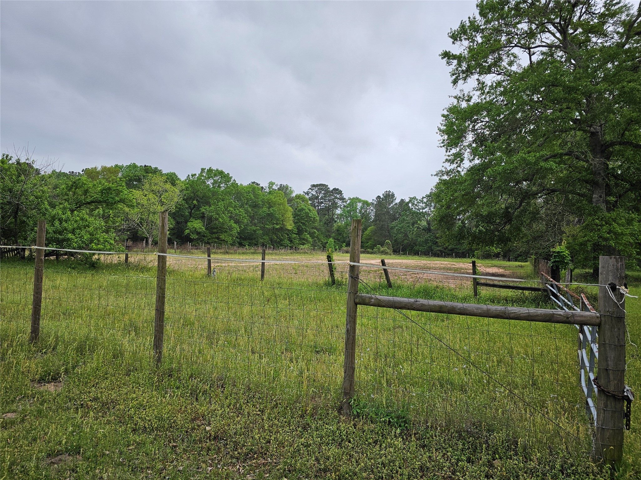 15784 Tree Monkey Rd Property Photo 7