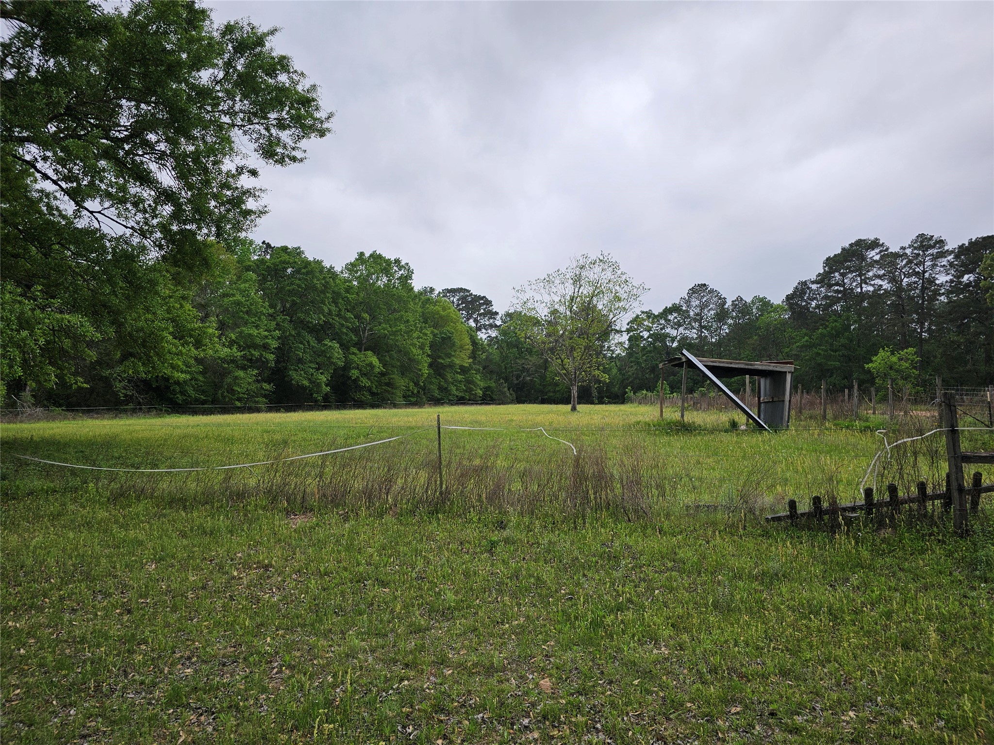 15784 Tree Monkey Rd Property Photo 8