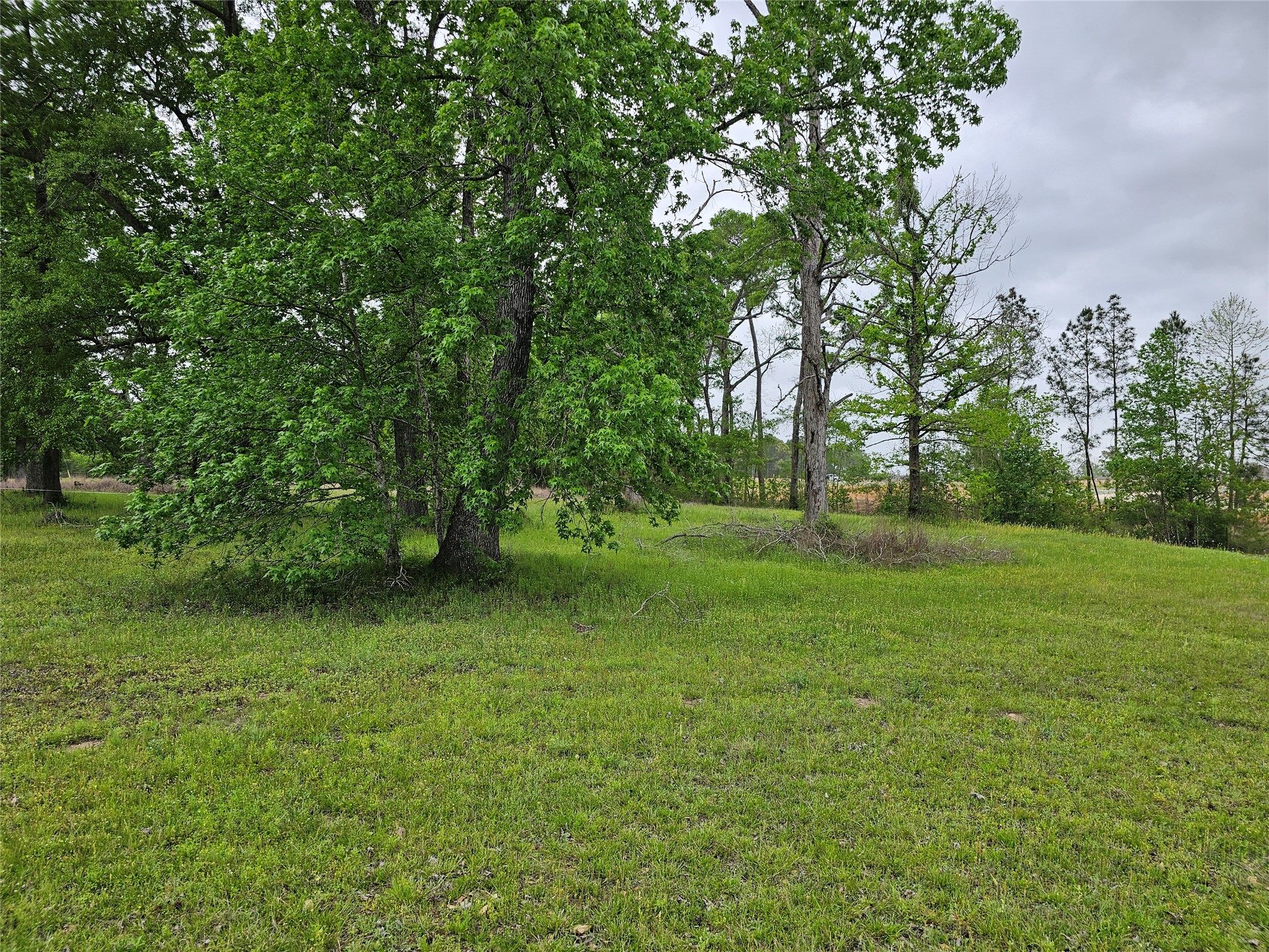 15784 Tree Monkey Rd Property Photo 9