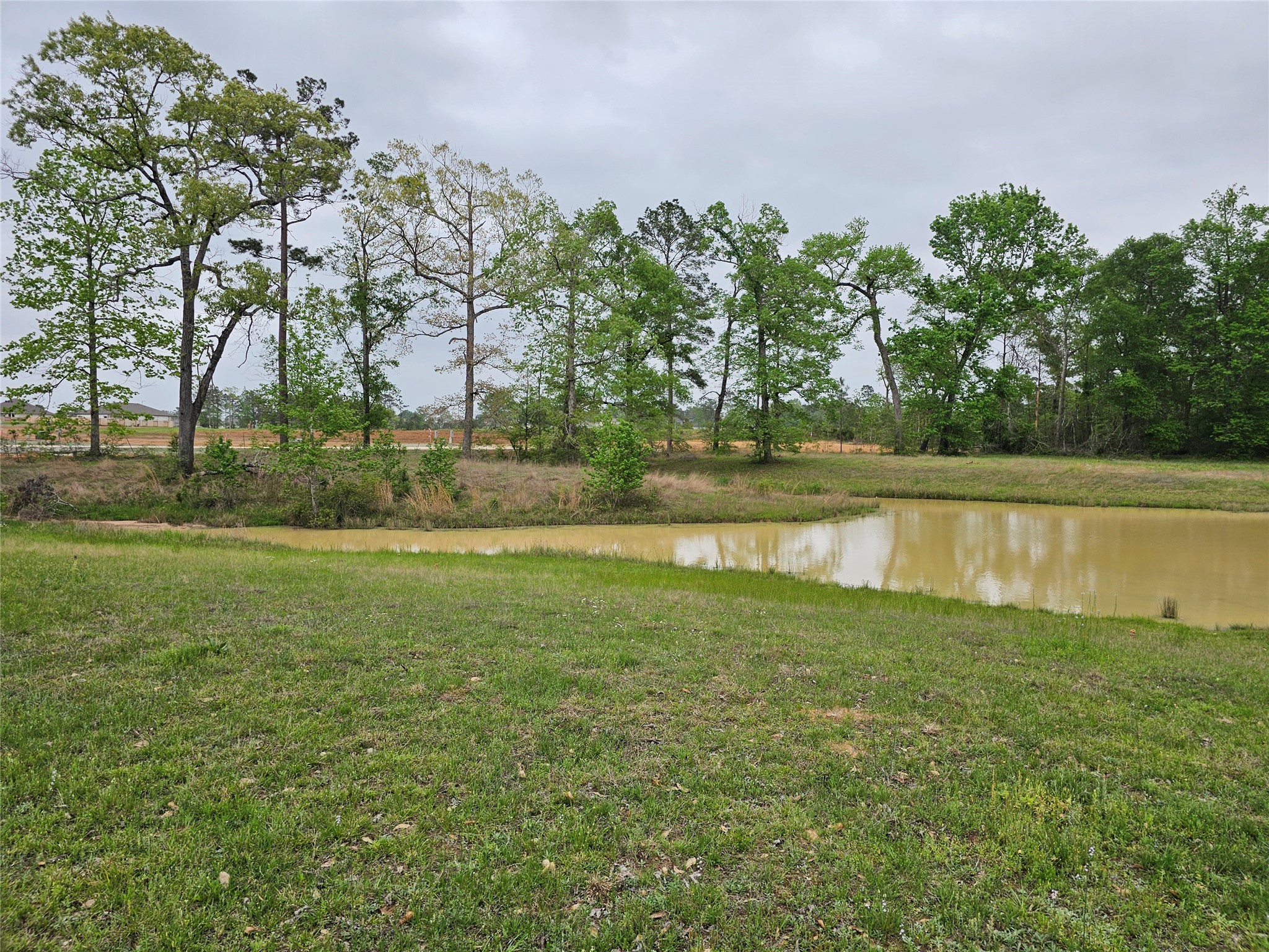 15784 Tree Monkey Rd Property Photo 10