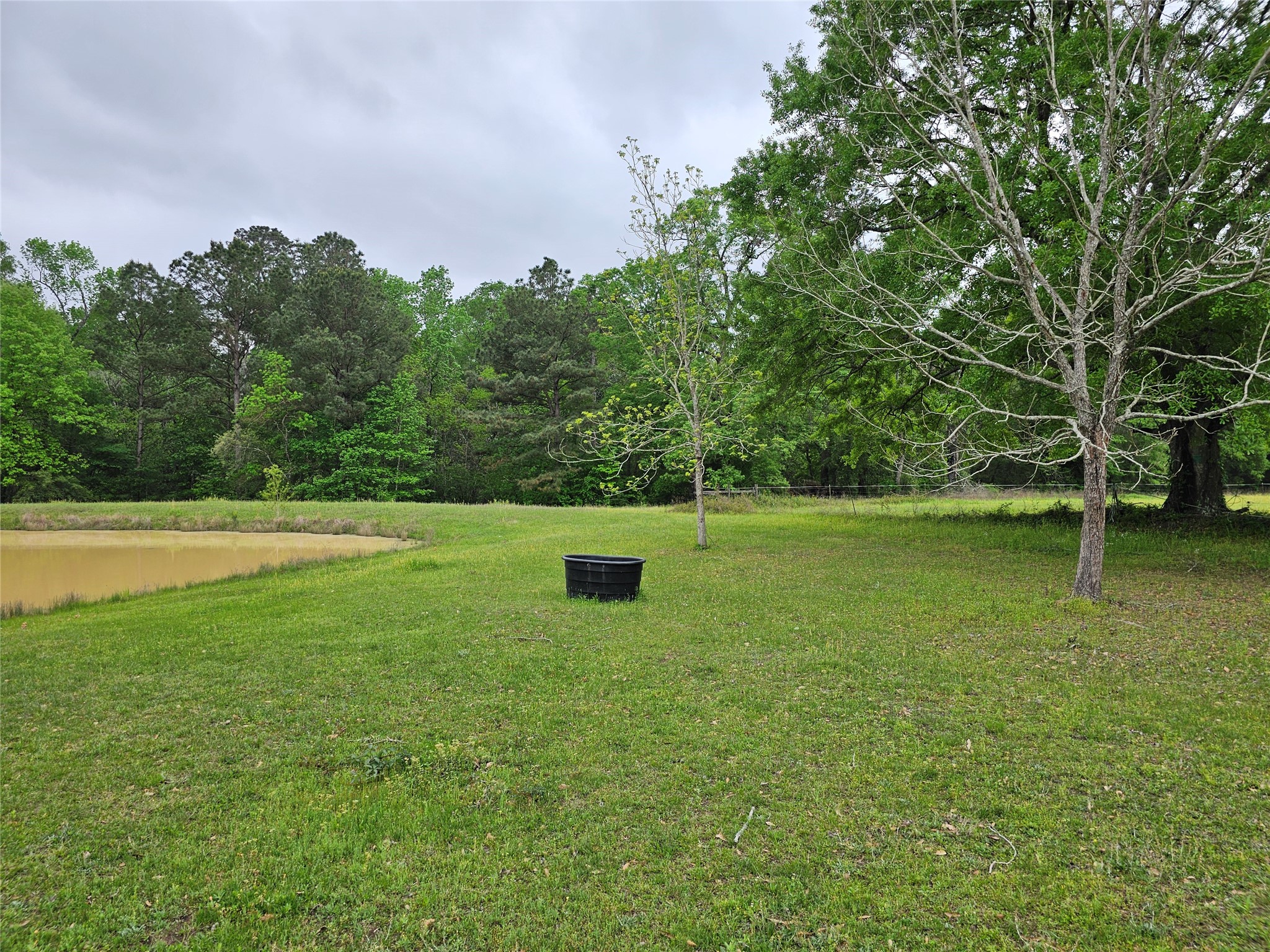 15784 Tree Monkey Rd Property Photo 11