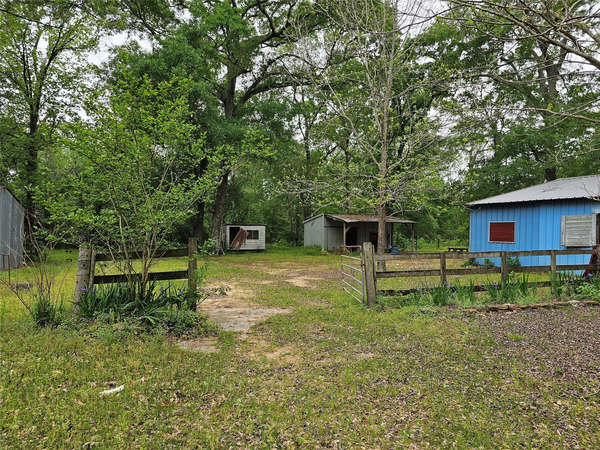 15784 Tree Monkey Rd Property Photo 33