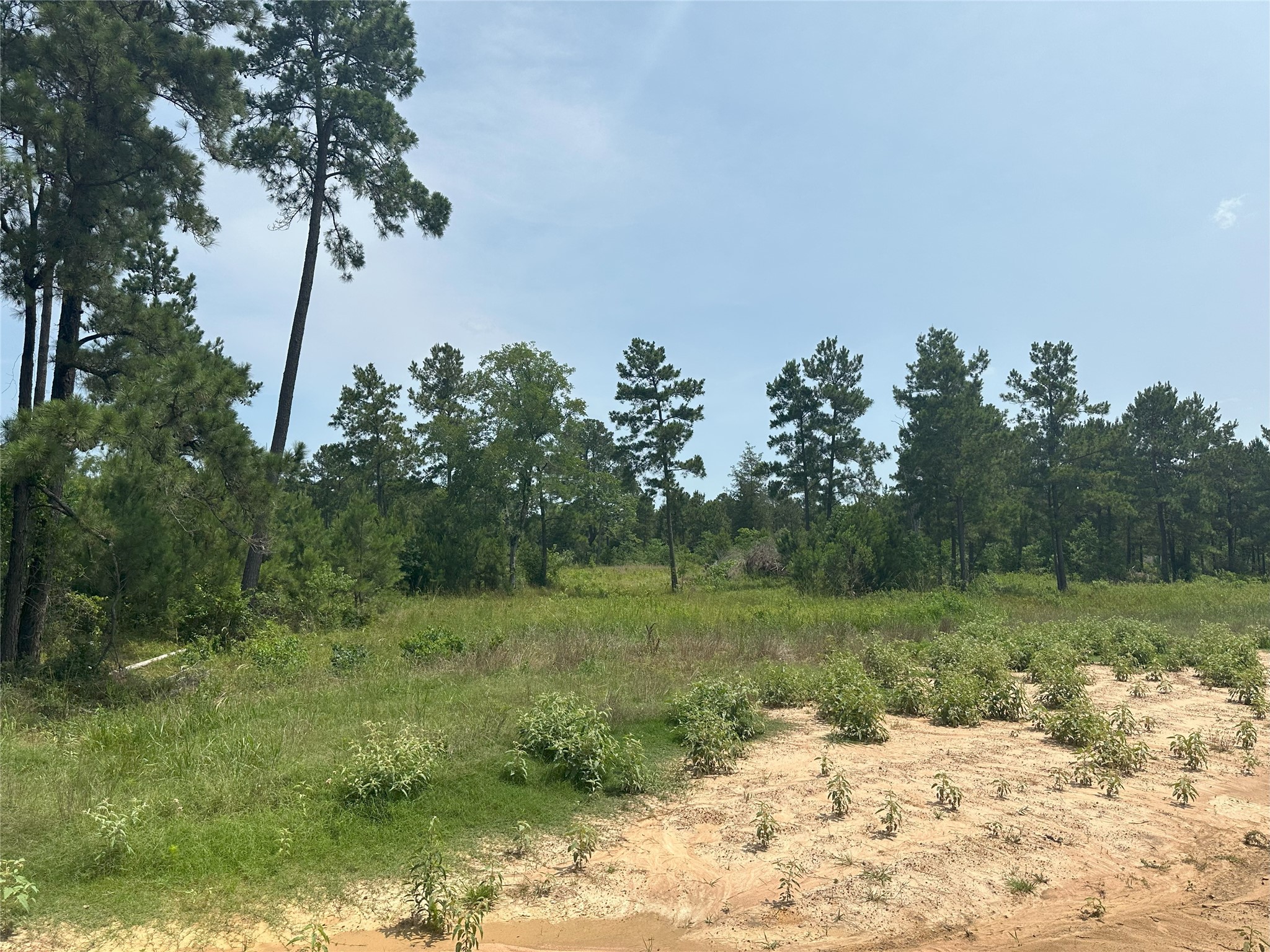 31931 Boone Road Property Photo 11