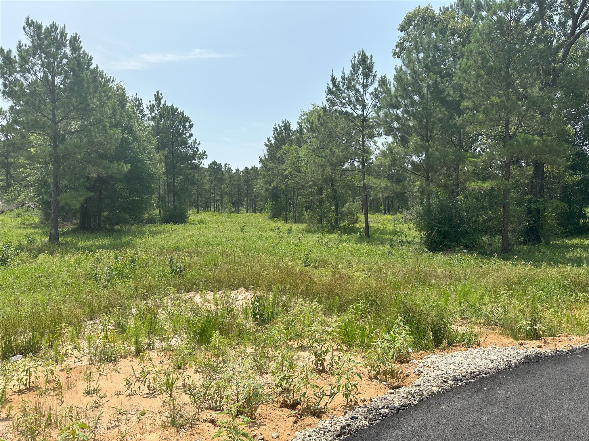 31931 Boone Road Property Photo 13