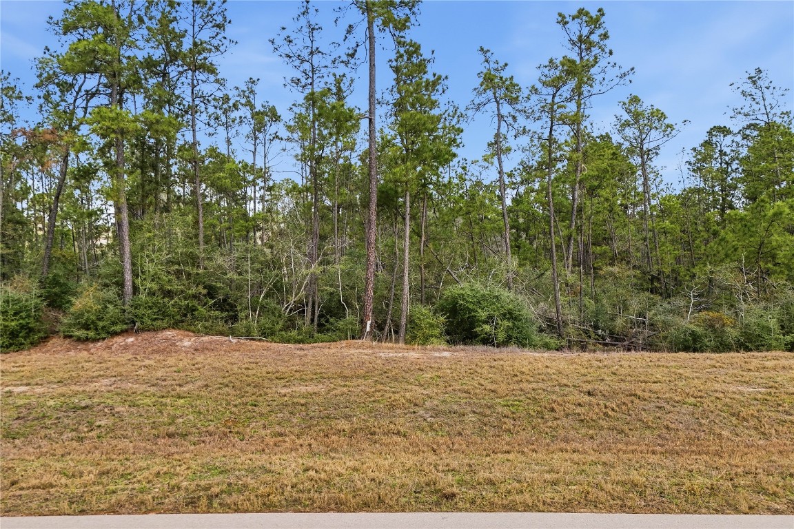 15466 Red Hawk Road Property Photo 1