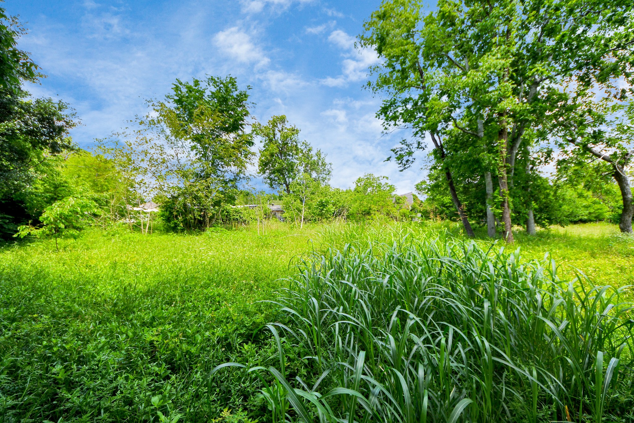 4314 Sunflower Street Property Photo 43