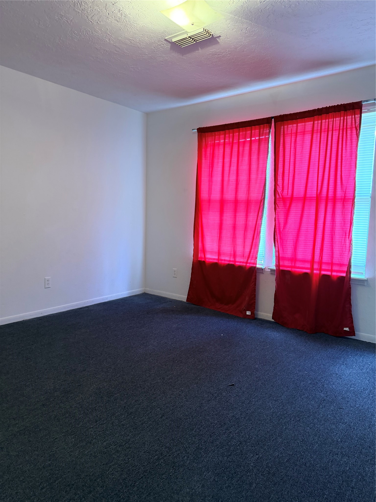 5602 Easthampton Drive B Property Photo 19