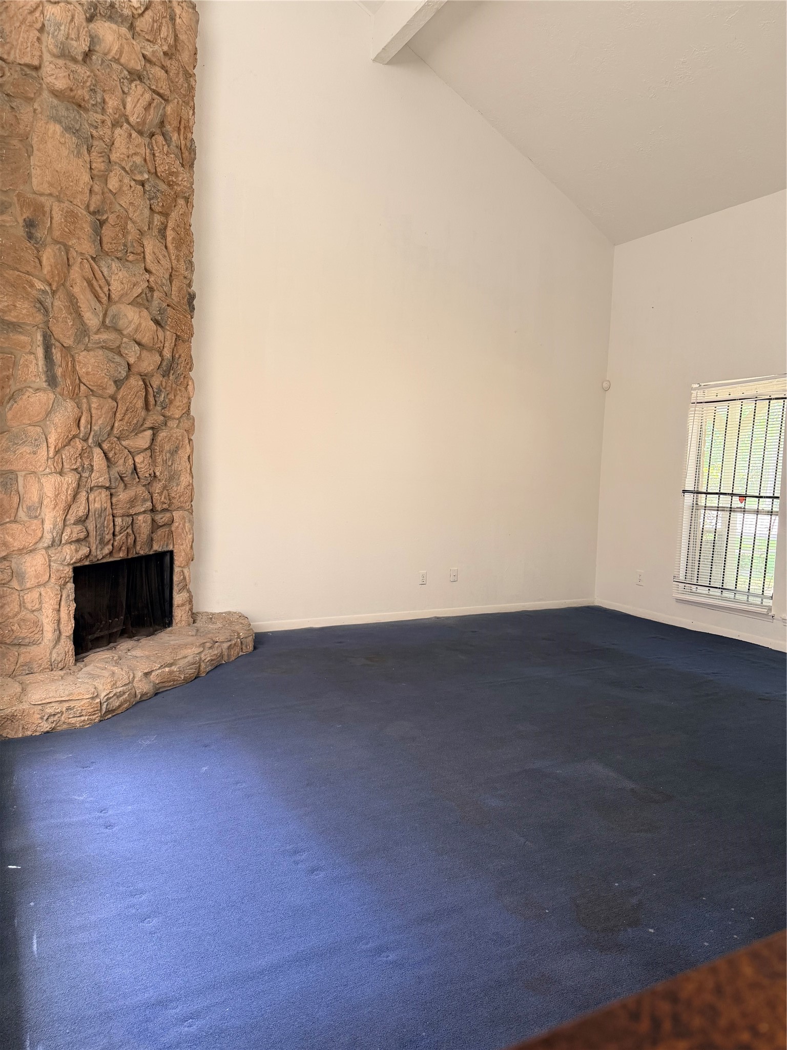 5602 Easthampton Drive B Property Photo 28