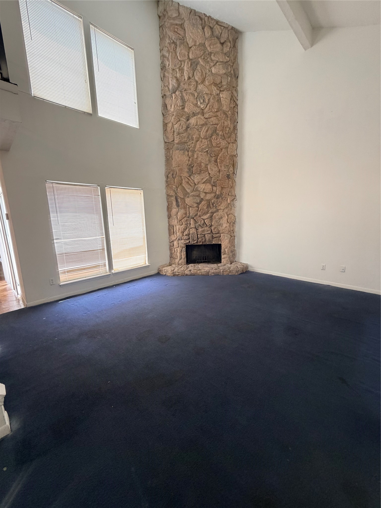 5602 Easthampton Drive B Property Photo 31