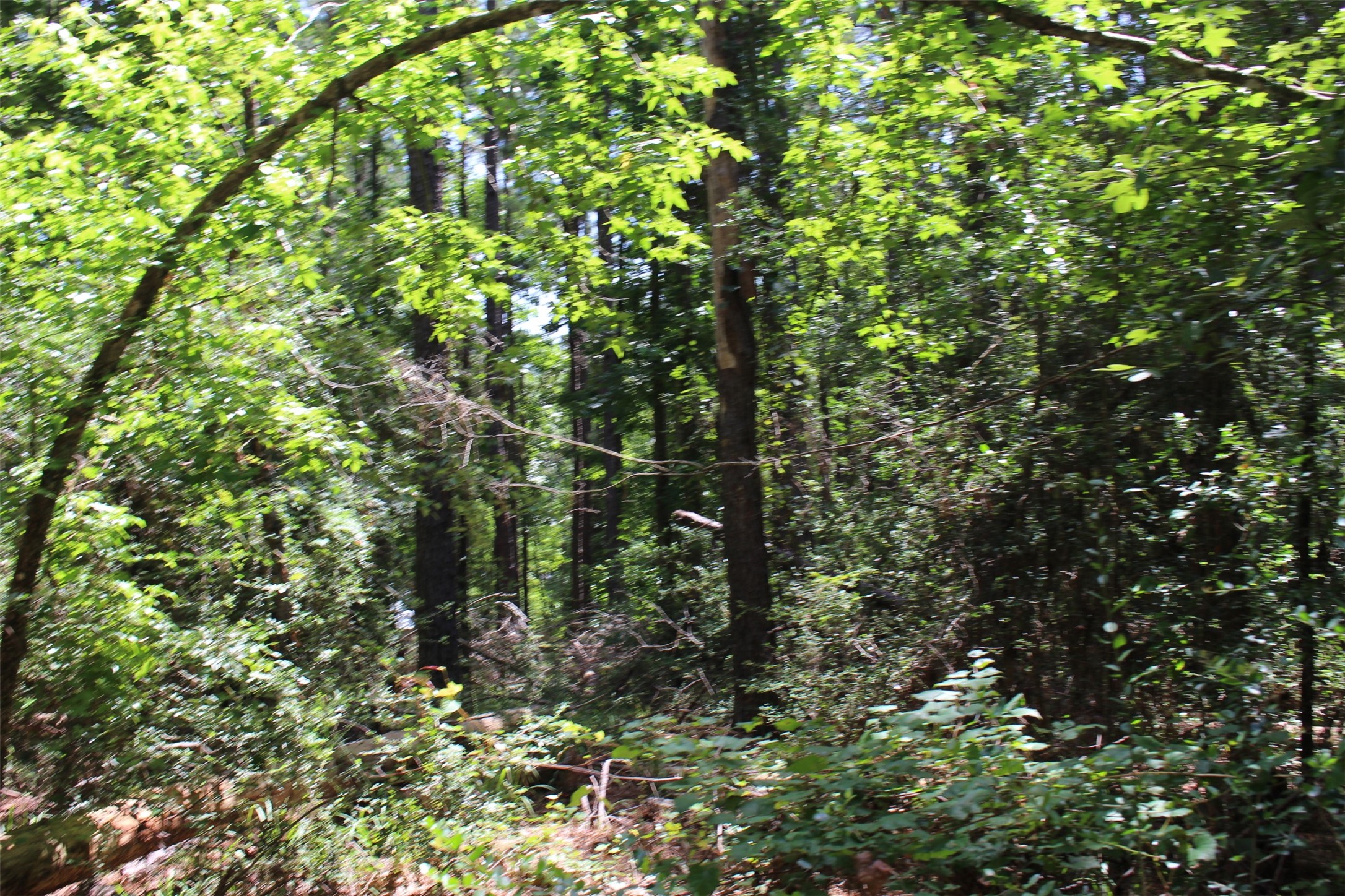 000 Private Road 6050 Property Photo 1