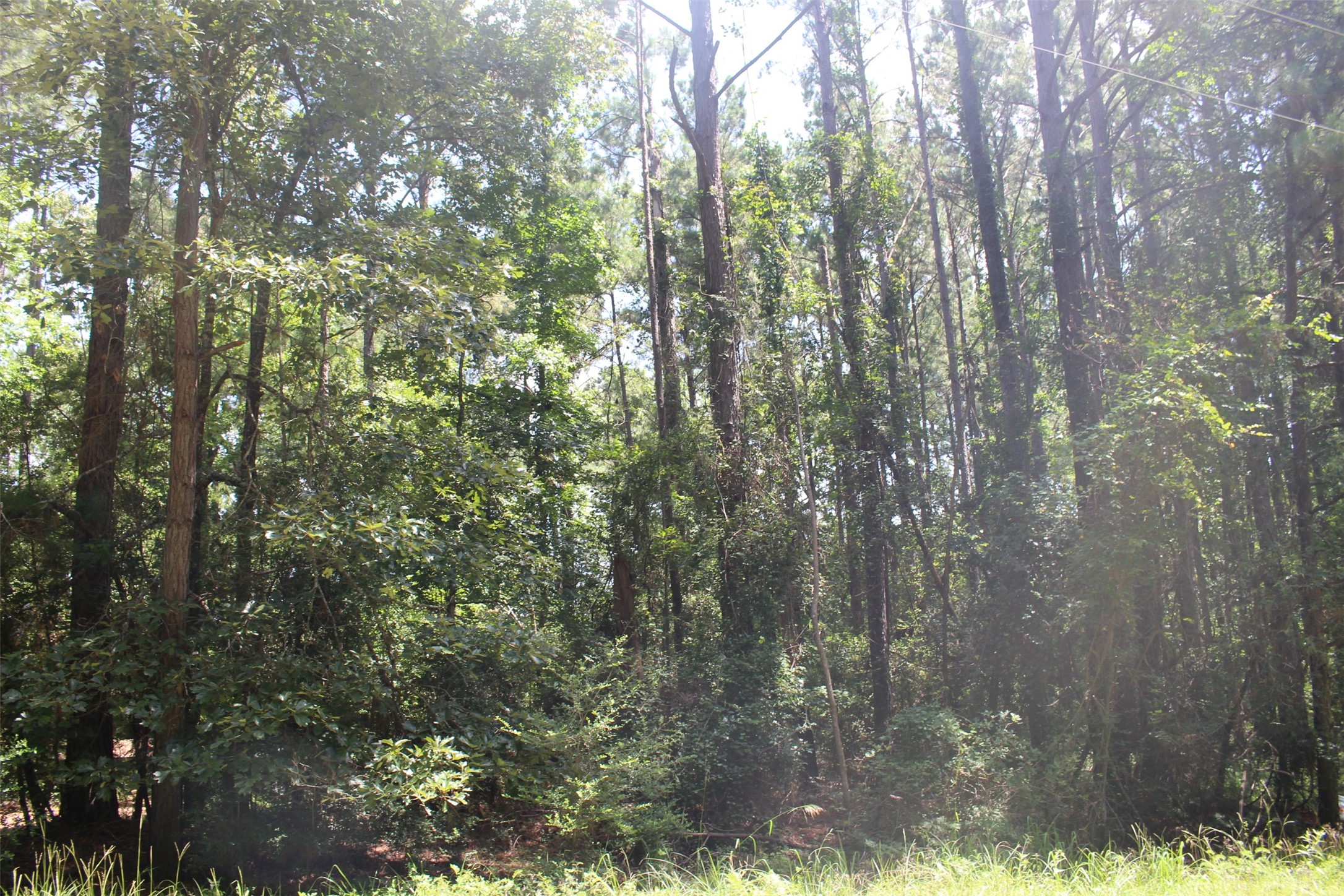 000 Private Road 6050 Property Photo 9
