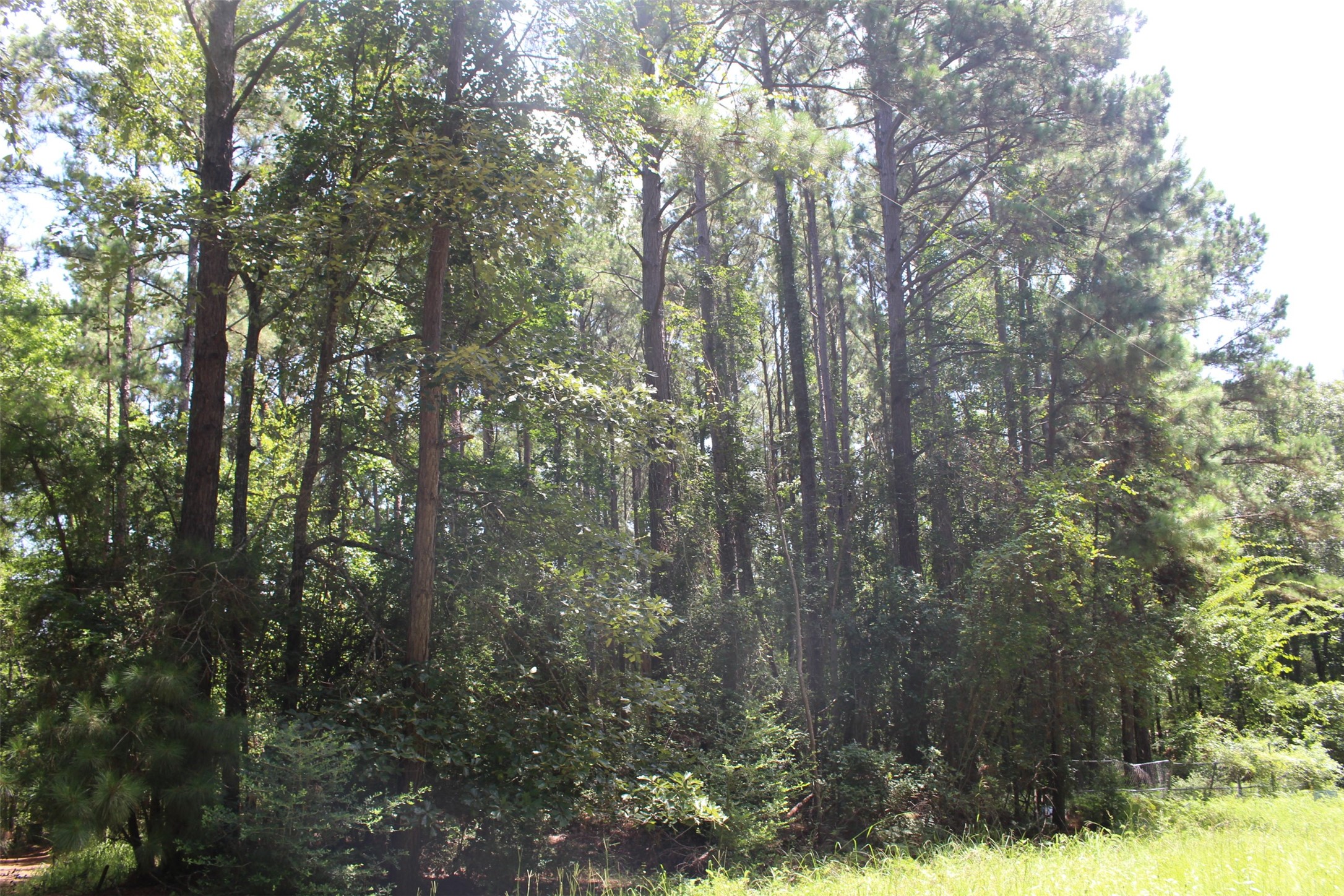 000 Private Road 6050 Property Photo 10