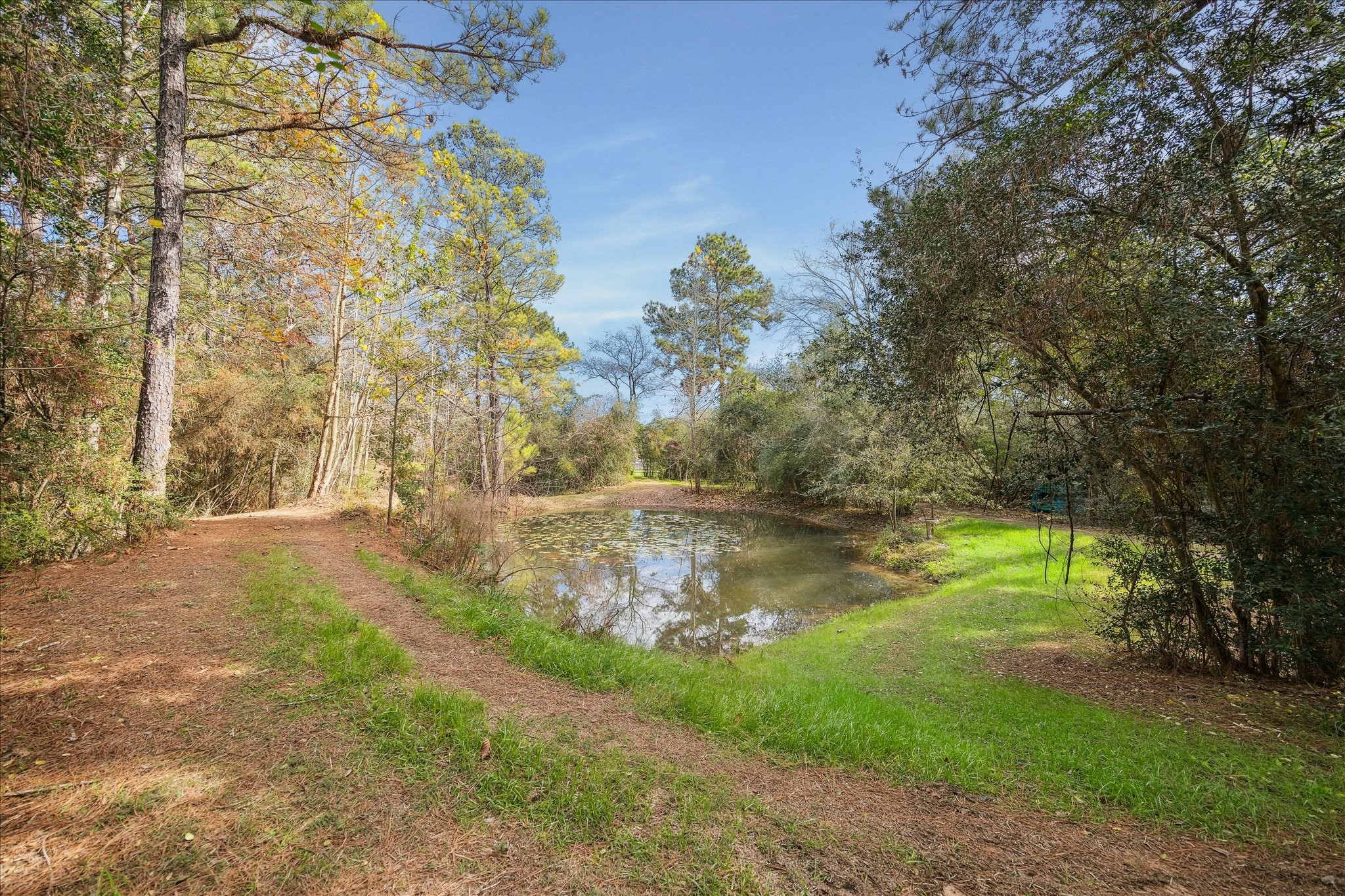 11 Willowcreek Ranch Road Property Photo 12