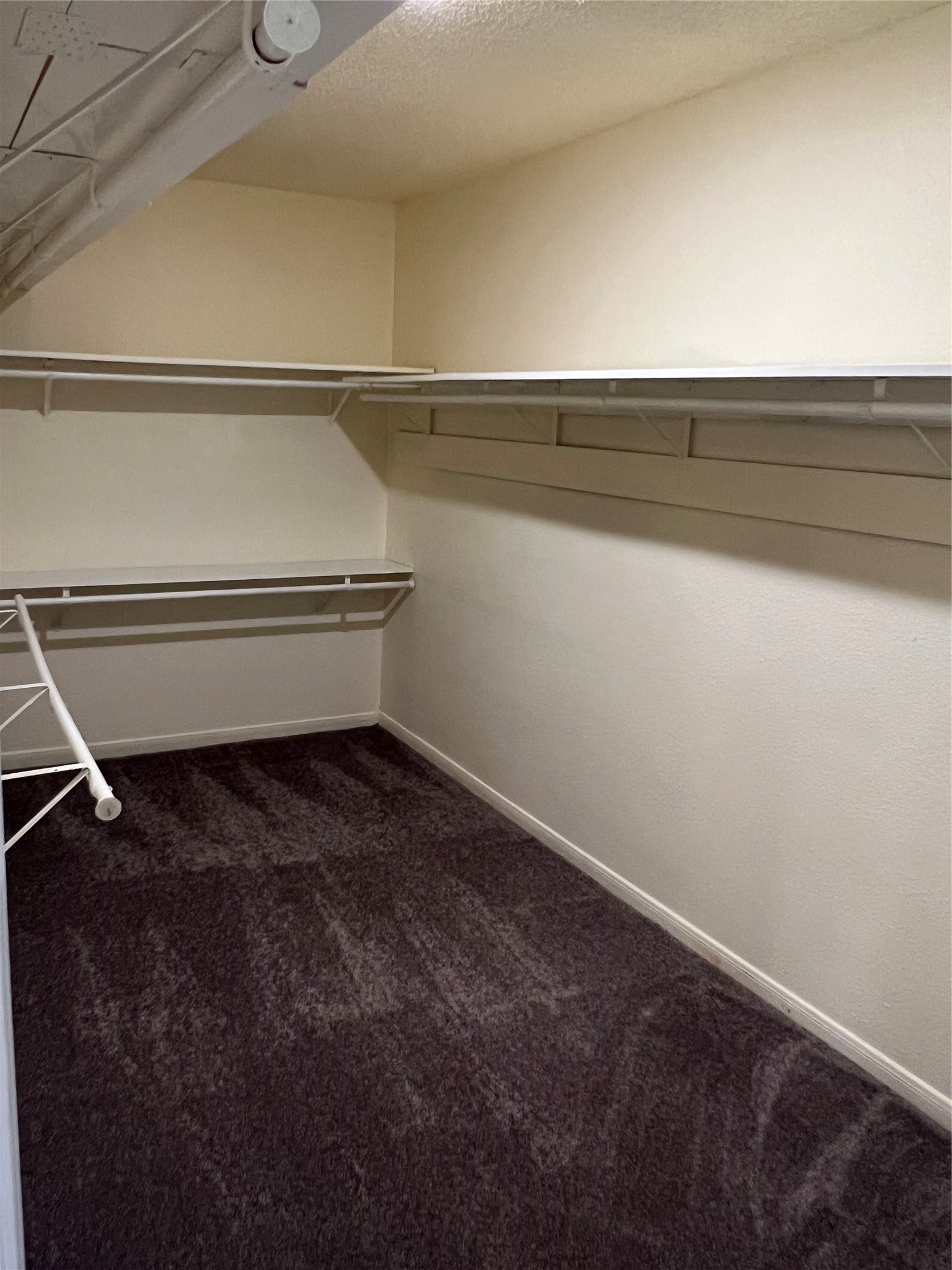 12810 Ashford Meadow Drive Property Photo 17