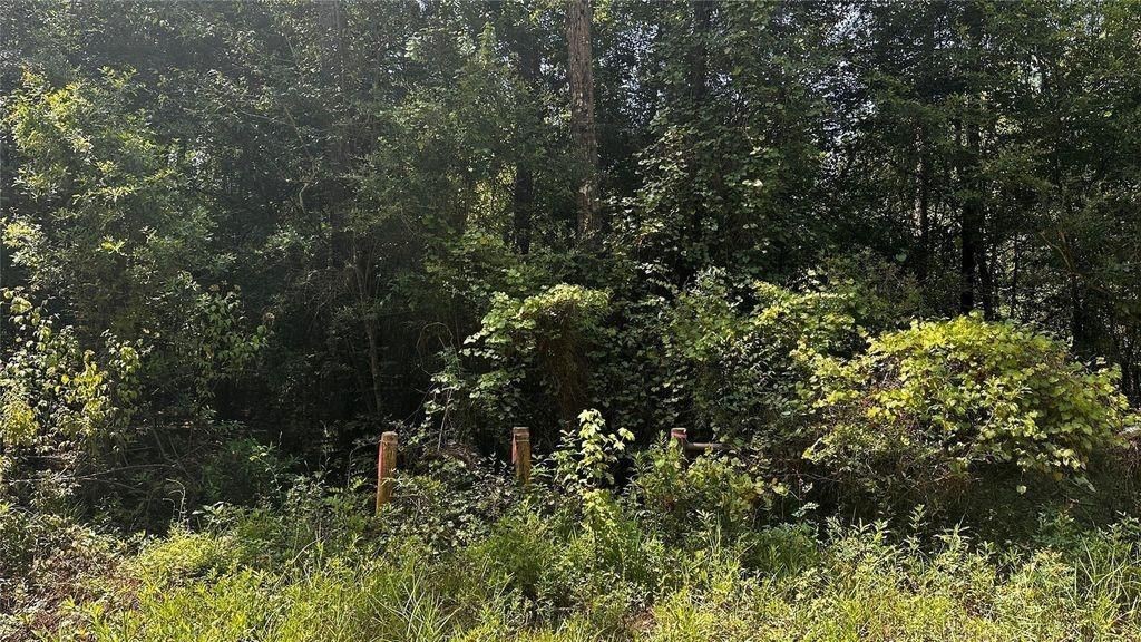 S05350 Wingfield Drive Property Photo 4