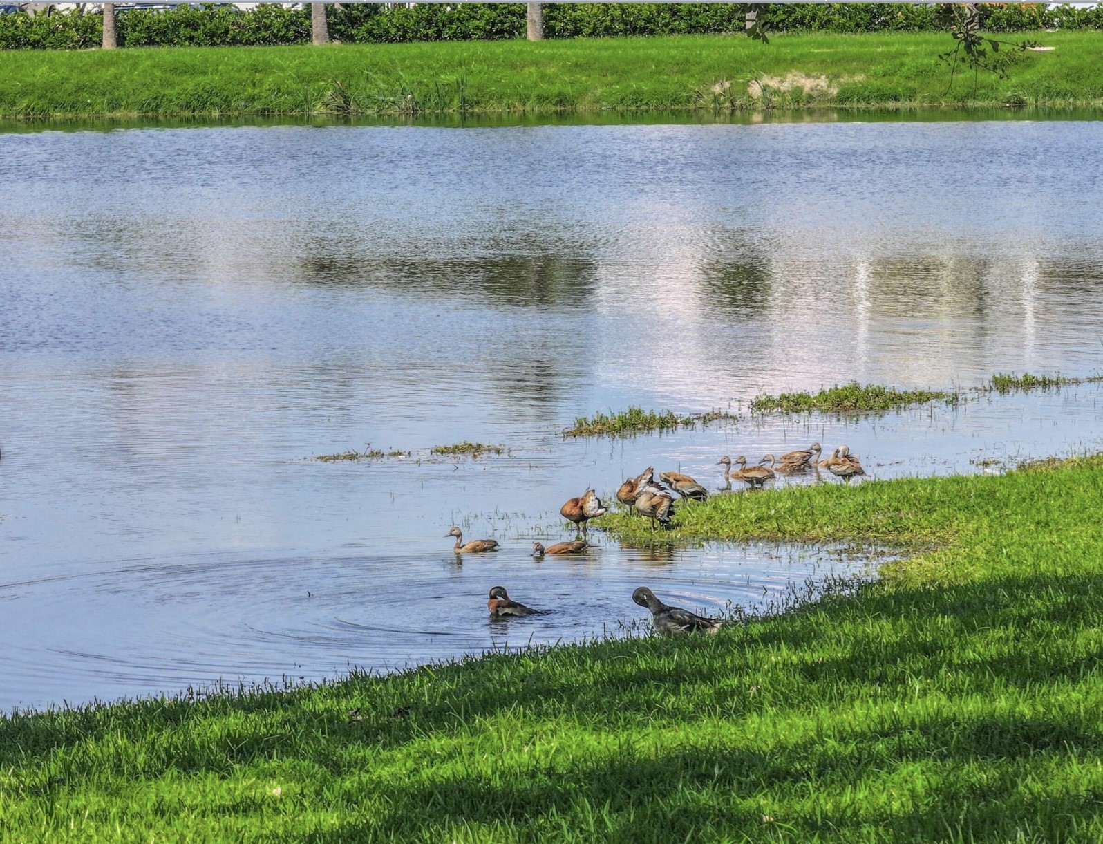 2 Evia Main Property Photo 45