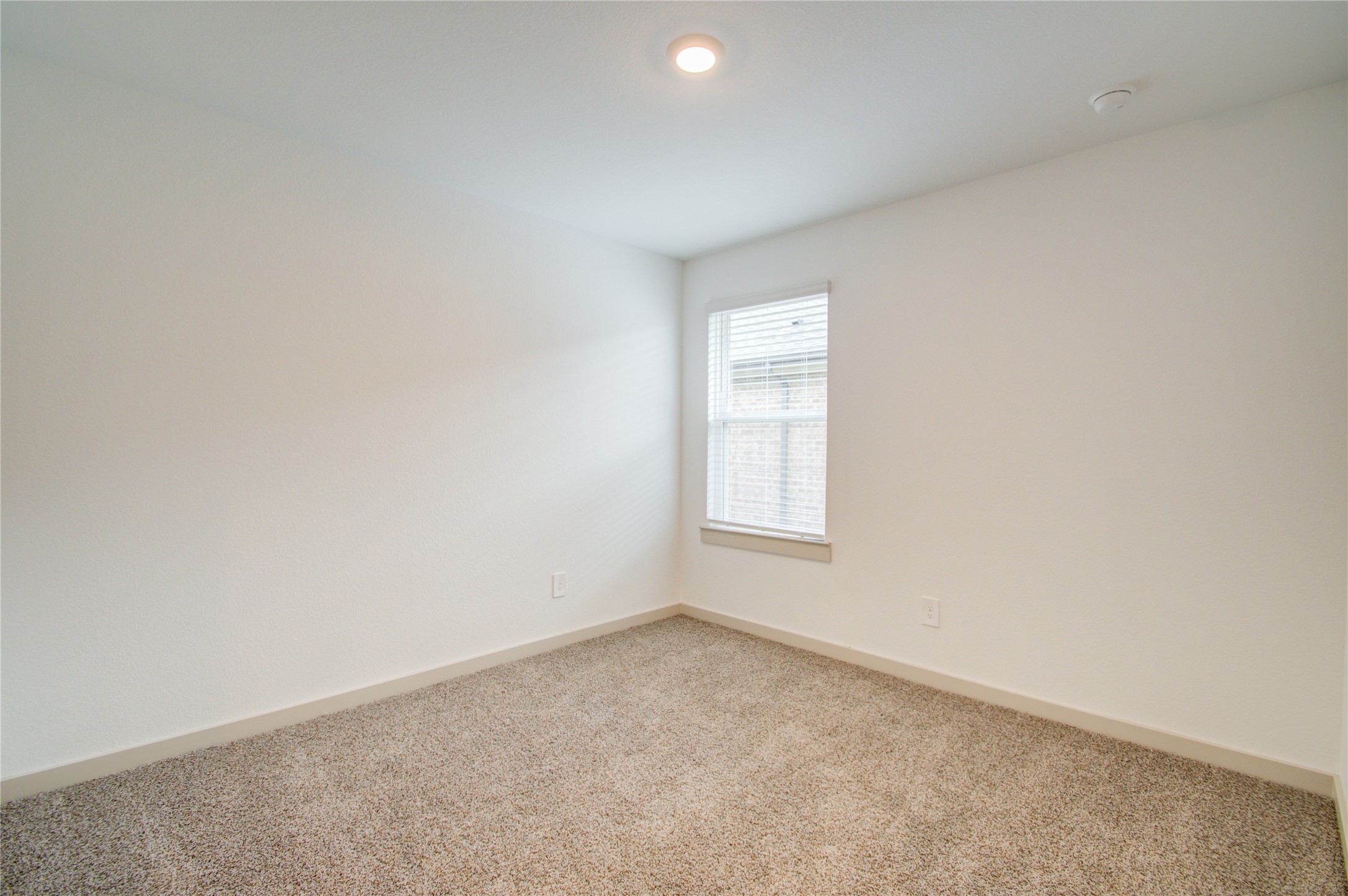7911 Murciana Drive Property Photo 10