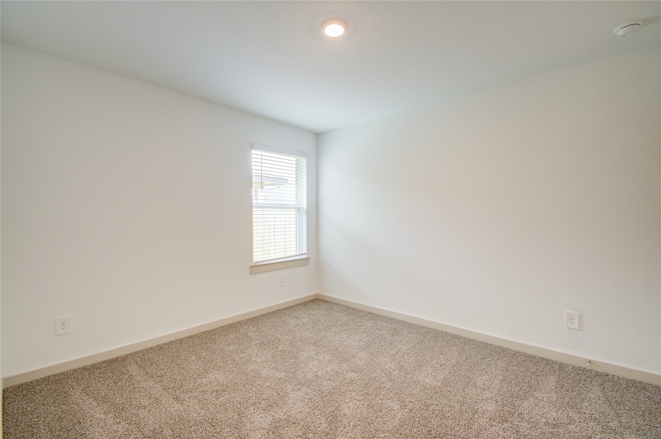 7911 Murciana Drive Property Photo 28