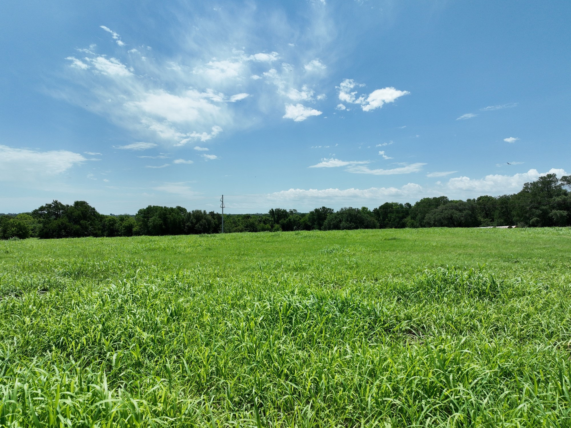 000 Clay Creek Road Property Photo 11