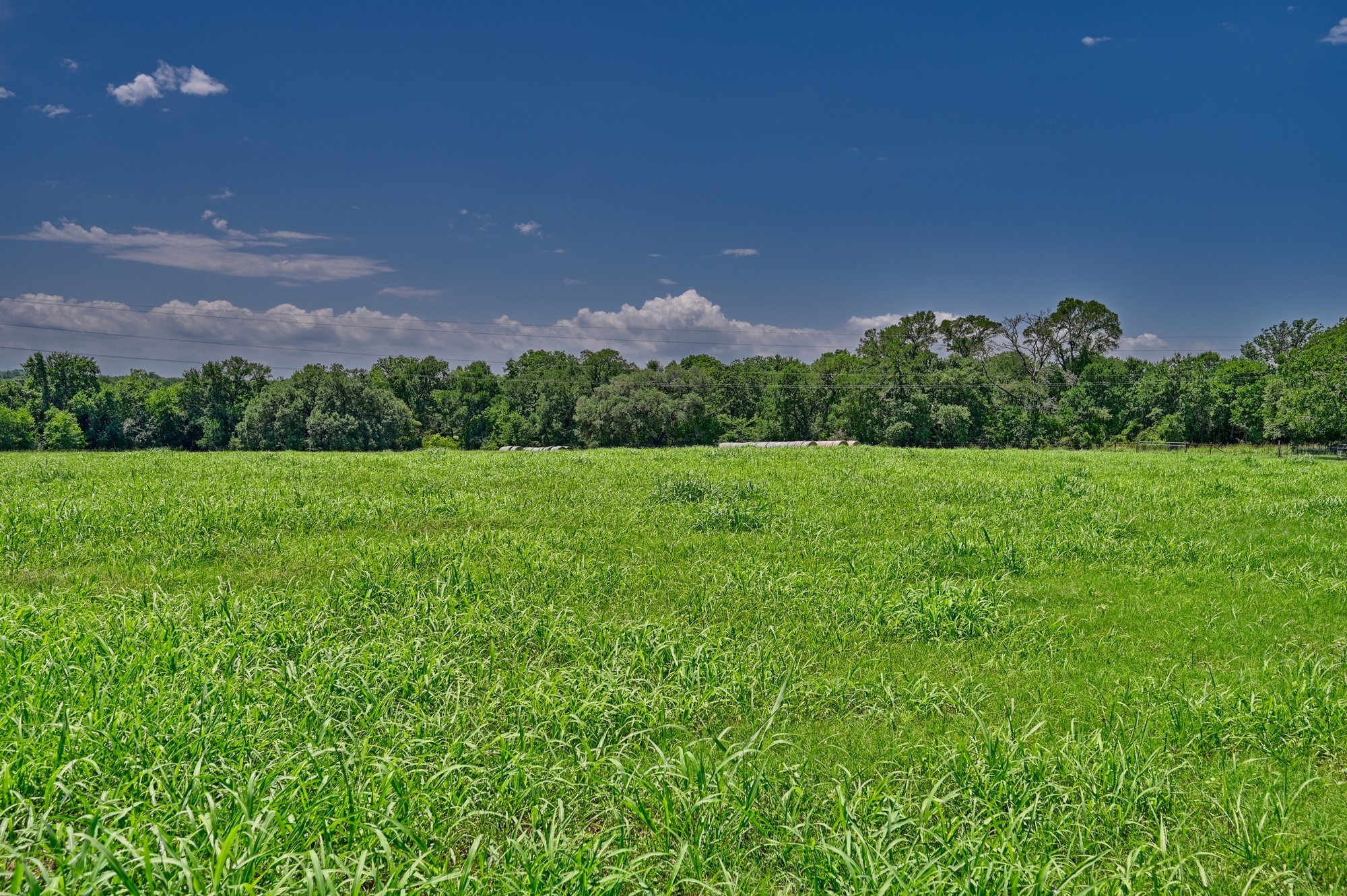 000 Clay Creek Road Property Photo 15
