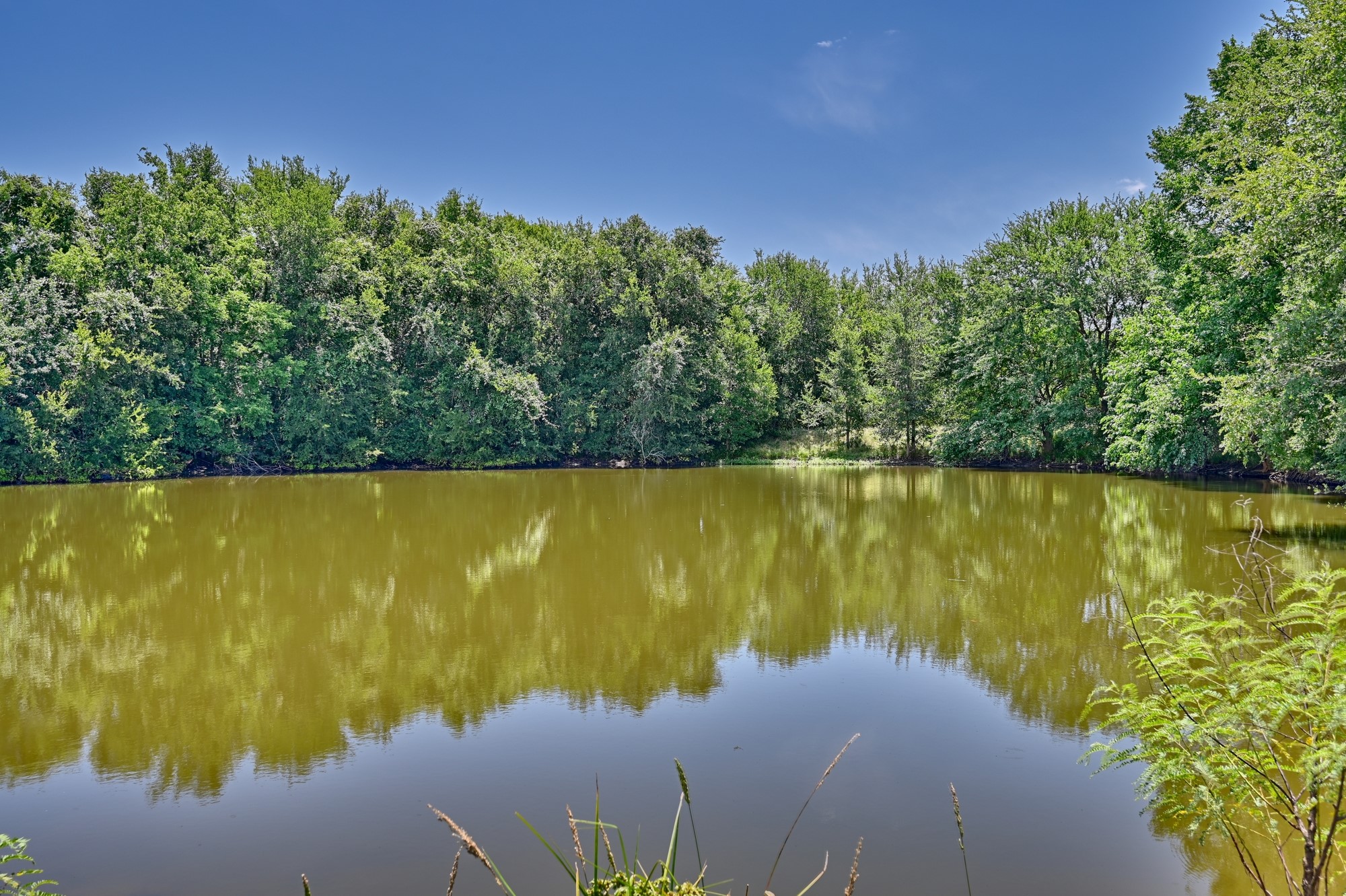 000 Clay Creek Road Property Photo 20